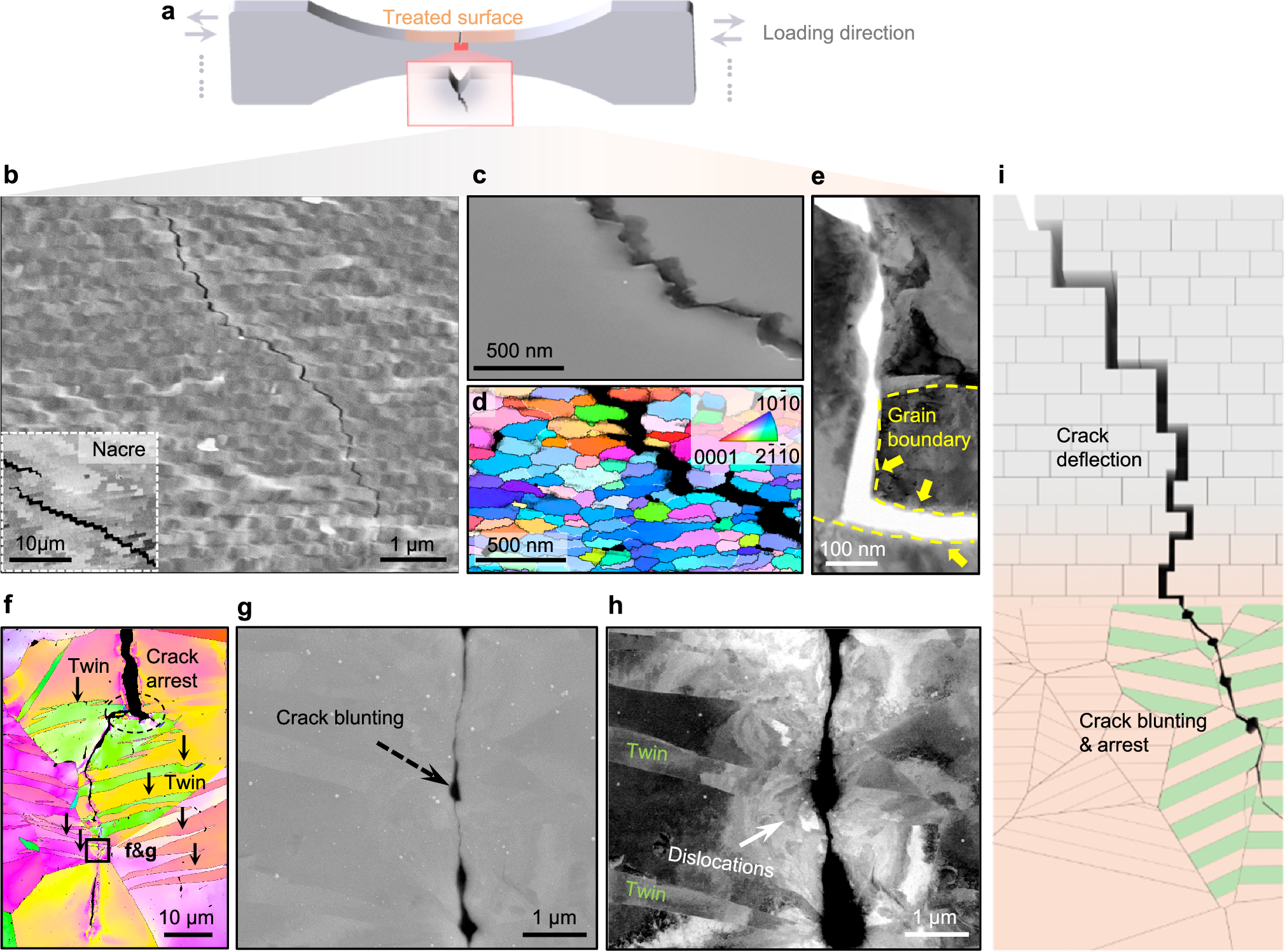 Fig. 4: Fatigue crack path profile in the surface-nanolaminated gradient Ti.