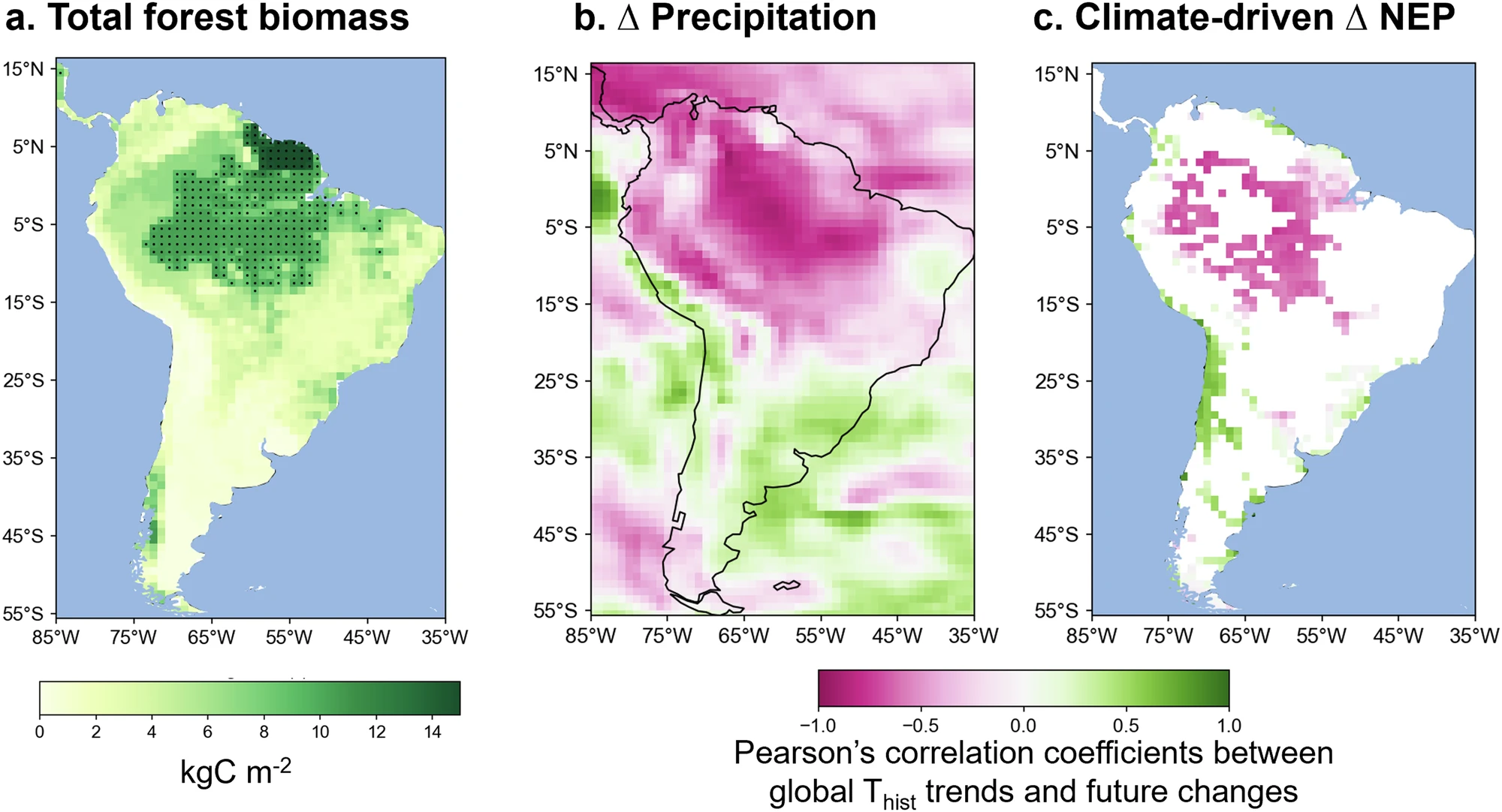 Mudanças climáticas reduzem a capacidade da floresta amazônica de atuar como um sumidouro de carbono