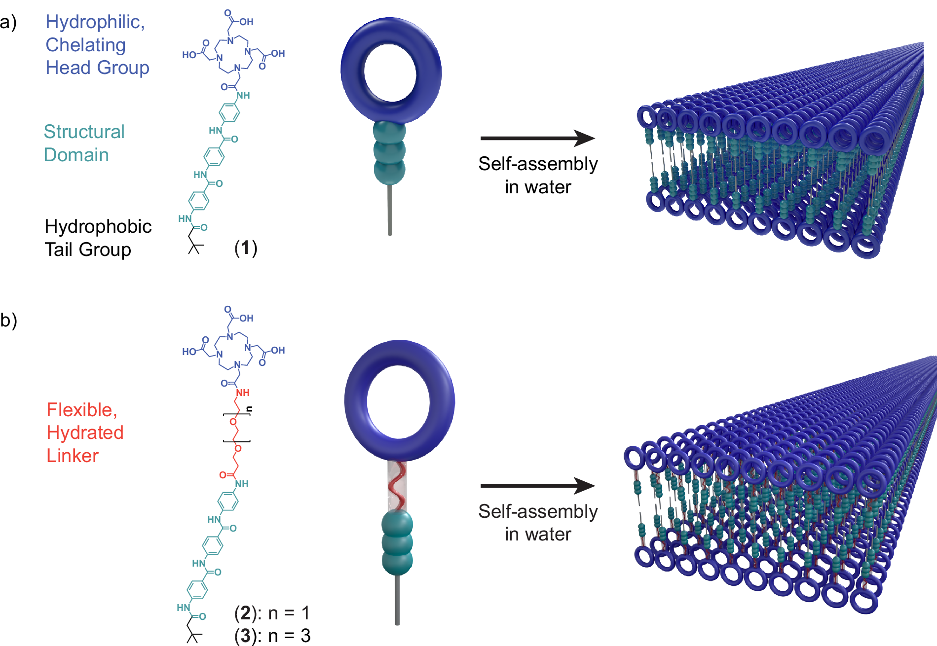 Interfacial dynamics mediate surface binding events on supramolecular  nanostructures | Nature Communications