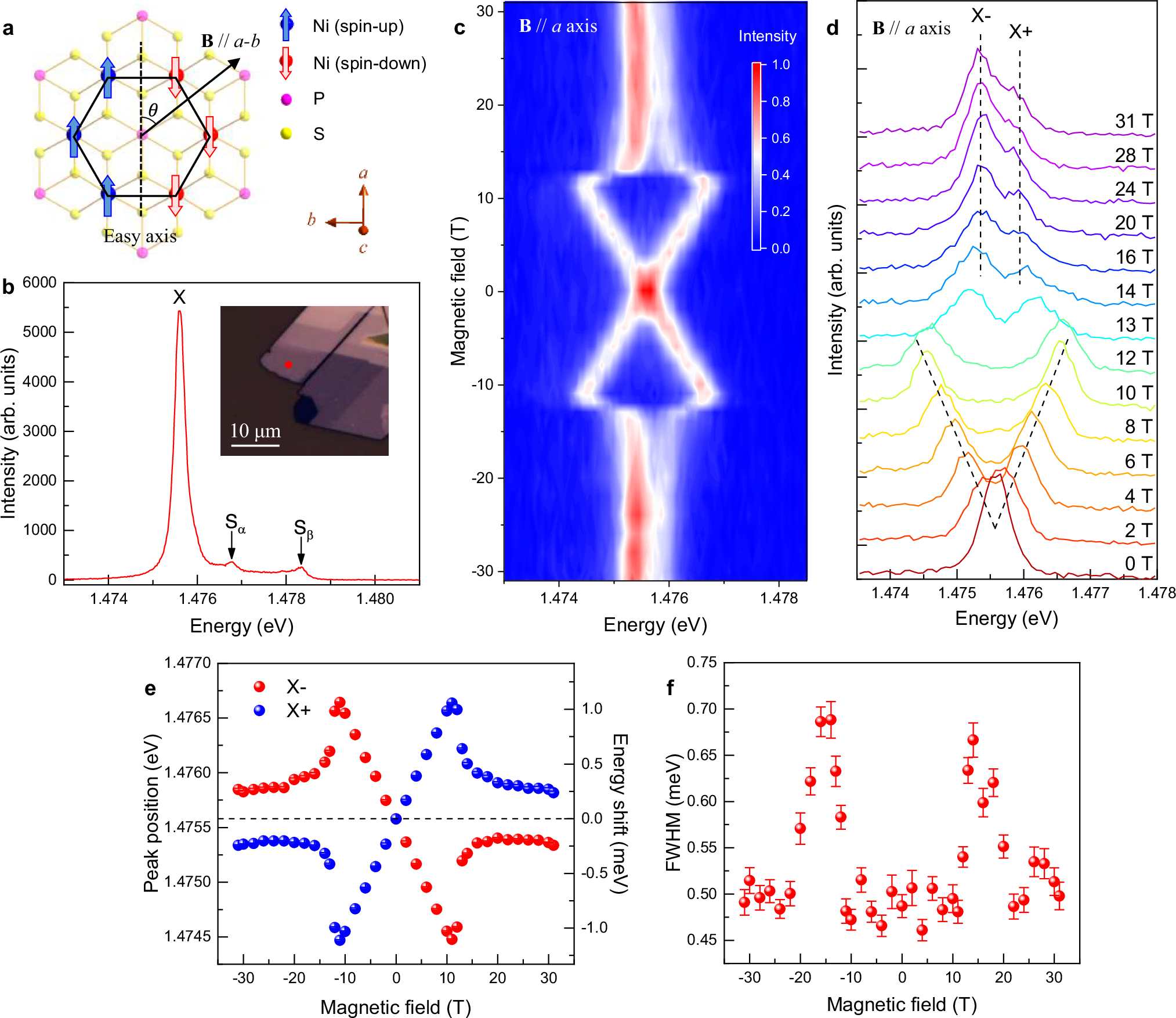 Fig. 1: Magneto-exciton effect of NiPS3 with external field direction along a axis.