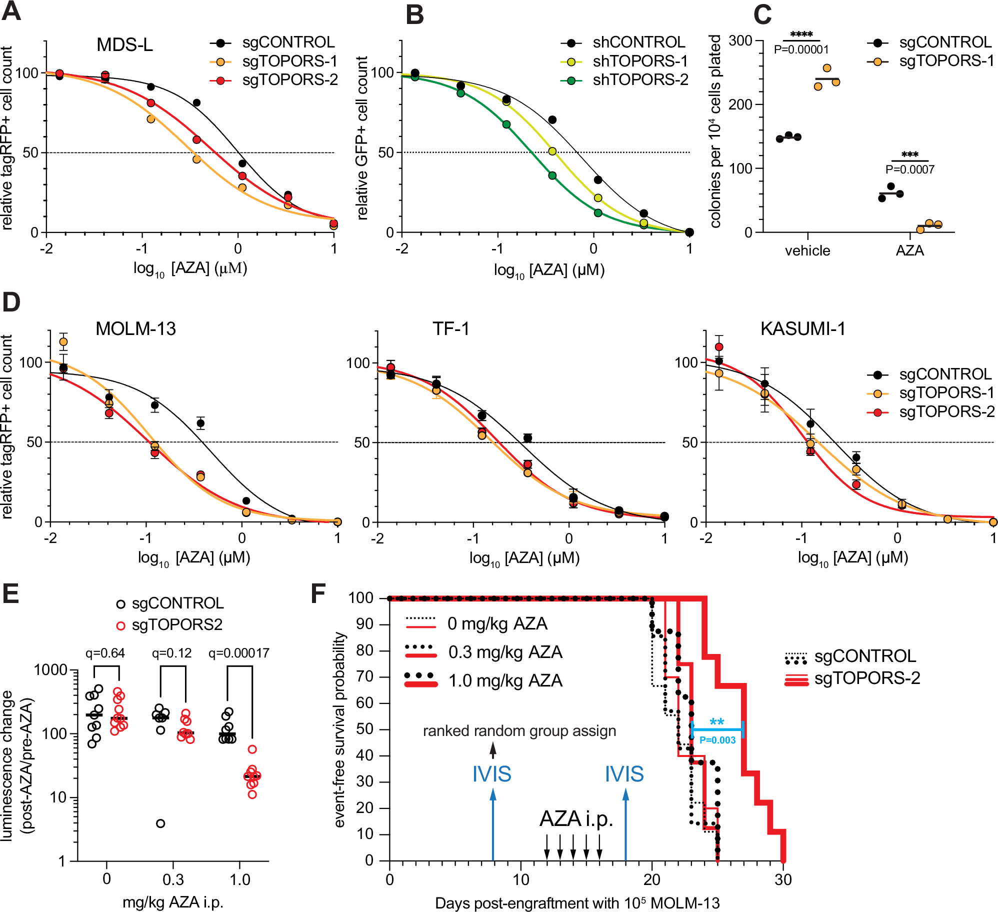 Fig. 2: Loss of TOPORS sensitizes MDS and AML cell lines to AZA.