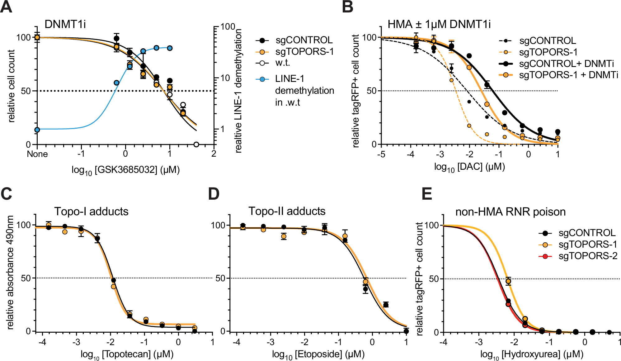Fig. 7: TOPORS-editing sensitizes cells to HMA in a DNMT1-dependent manner.