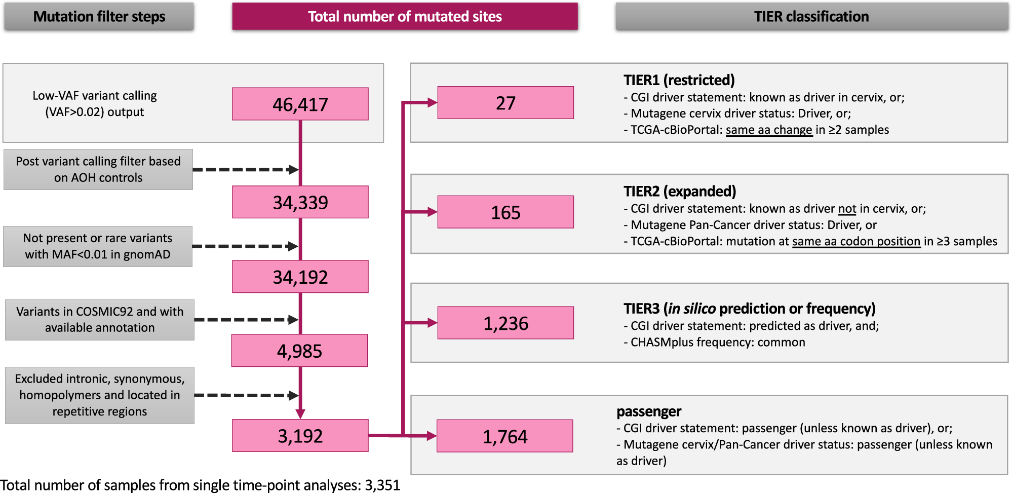Fig. 1: Workflow of mutation filters and the TIER classification scheme.