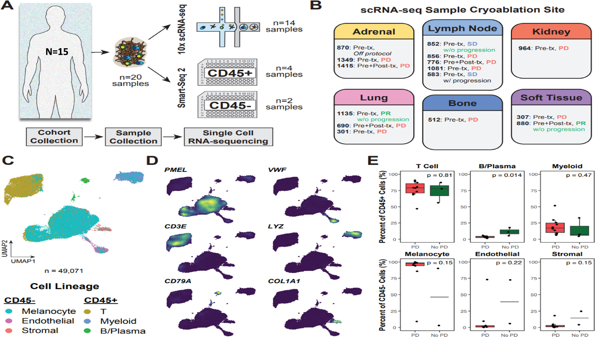Fig. 2: Single-cell RNA-sequencing overview and cell composition analysis of ICI-resistant melanoma tumors treated with cryoablation.