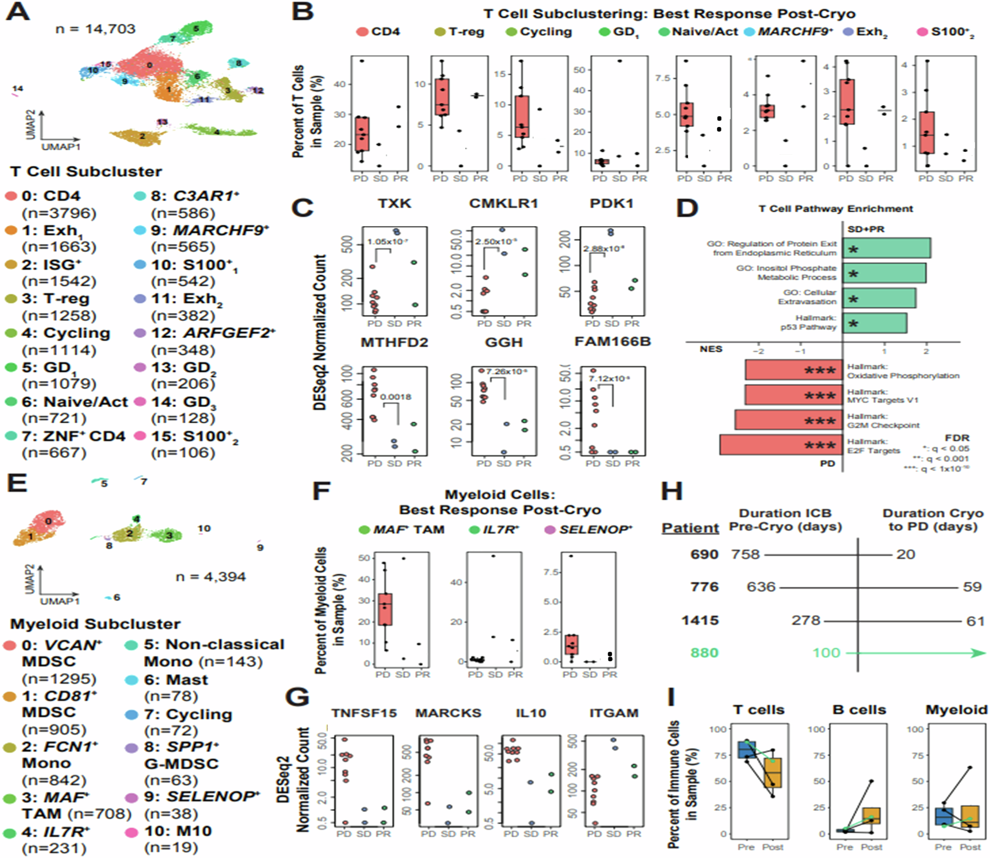 Fig. 3: Immune cell type-specific gene transcription associated with response to cryoablation therapy.