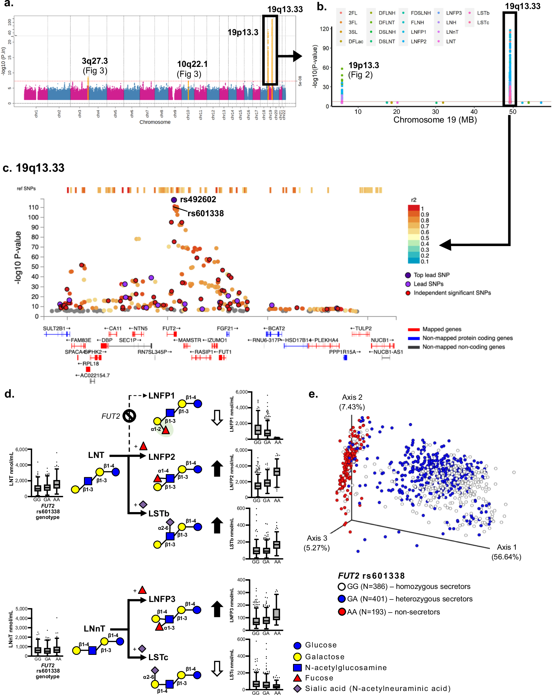 Fig. 1: GWASs of HMOs in 980 mothers of the CHILD cohort study.