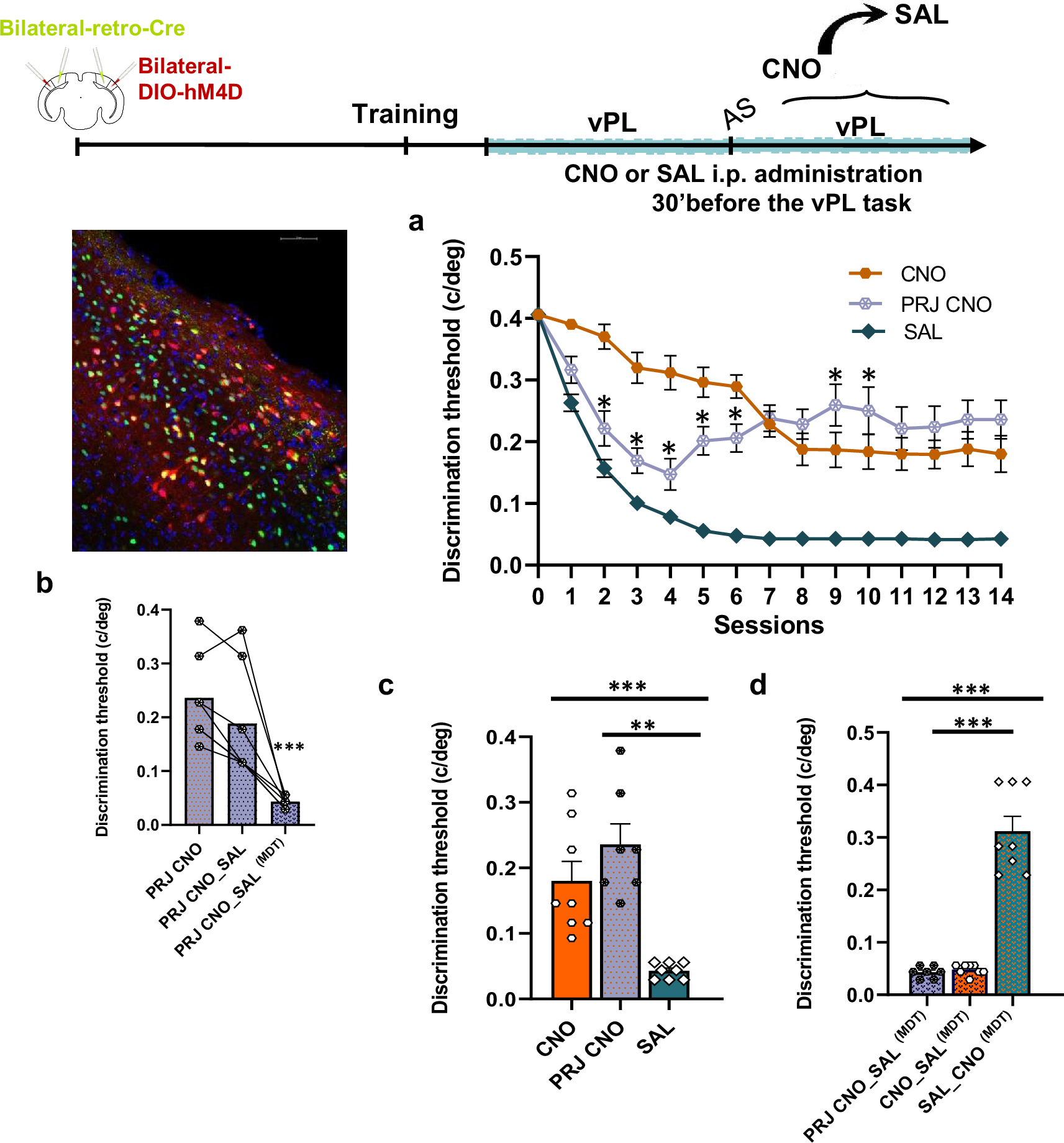 Fig. 9: Selective suppression of LM > V1 top-down projections impairs vPL.