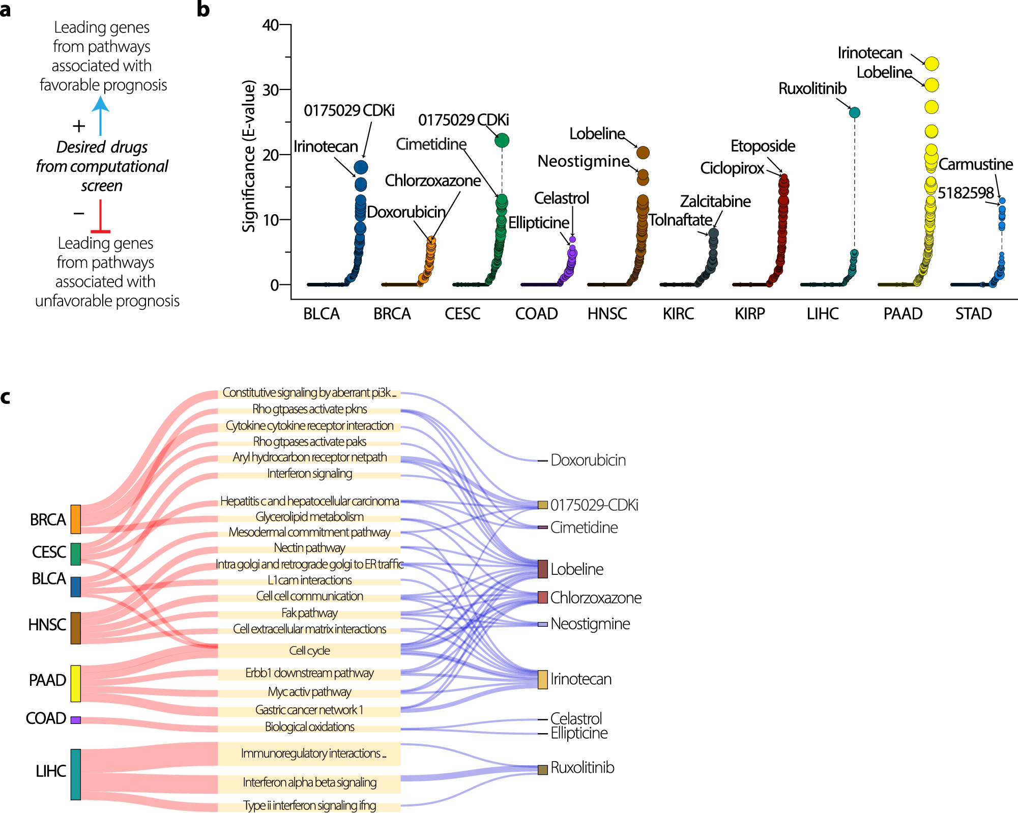 Fig. 4: PET-derived prognostic pathways guide drug repurposing.