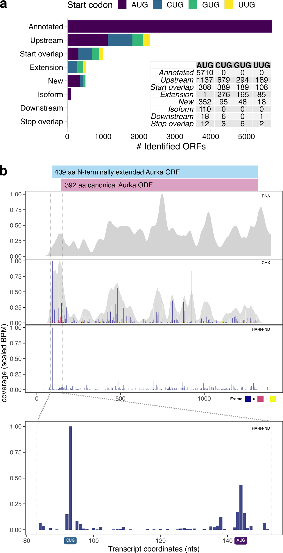 Fig. 2: Ribo-seq identifies thousands of novel CHO cell ORFs.