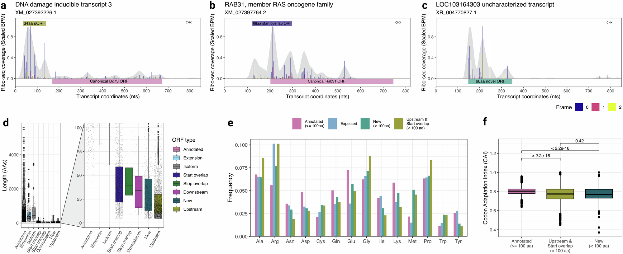 Fig. 3: Ribosome footprint profiling uncovers thousands of short open reading frames in the Chinese hamster genome.