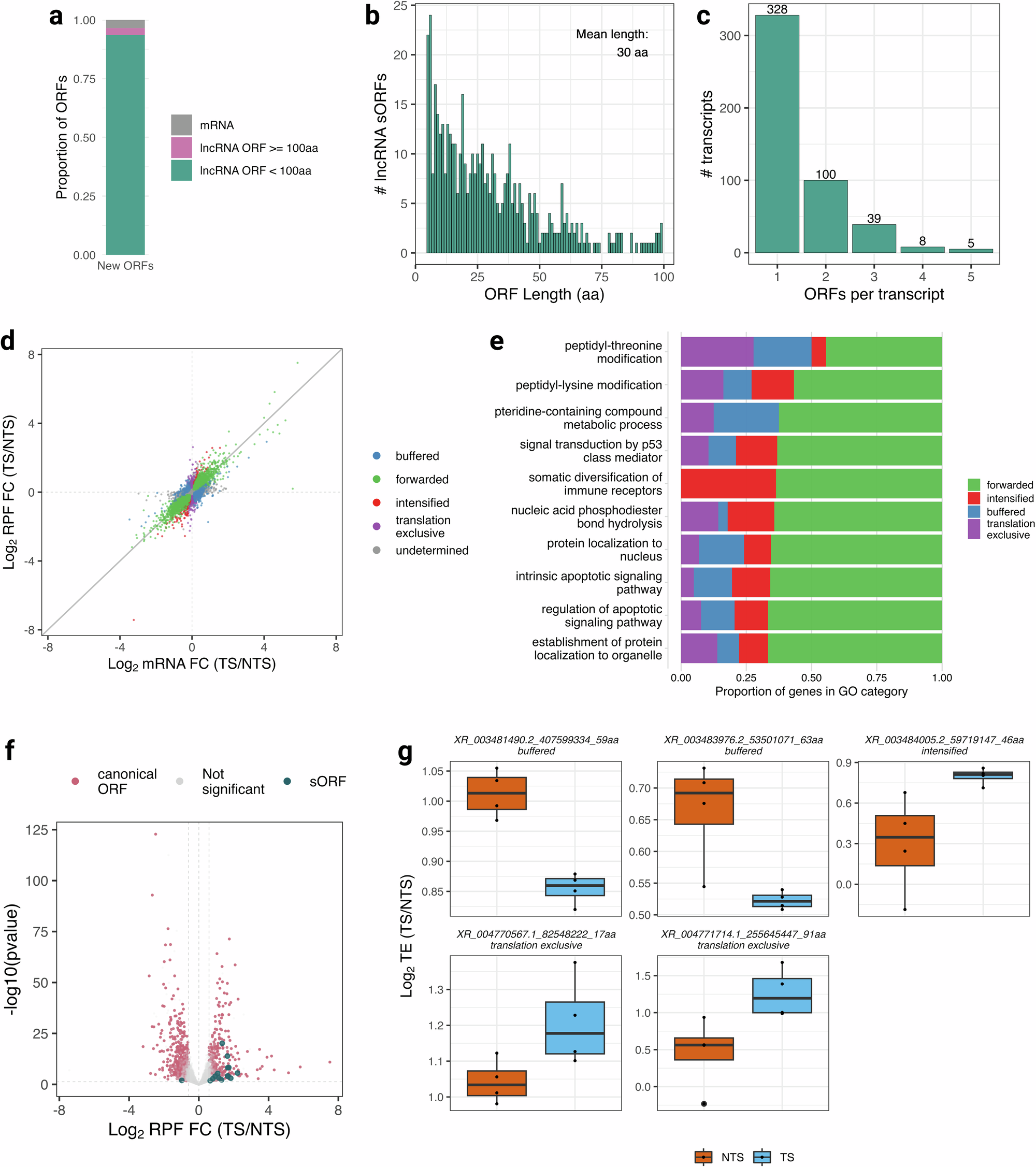 Fig. 5: Temperature shift induces alterations in translation regulation of CHO cell canonical ORFs and sORFs.
