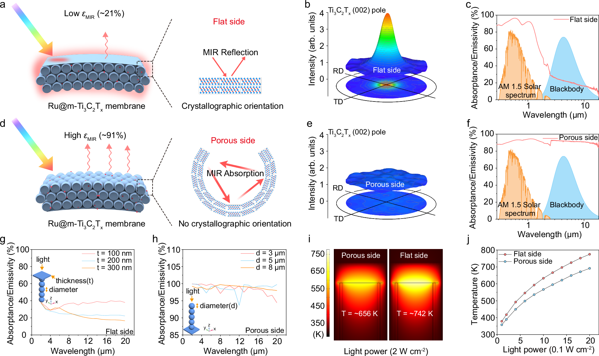 Fig. 3: Comparison of different photothermal effects caused by two different side structures.