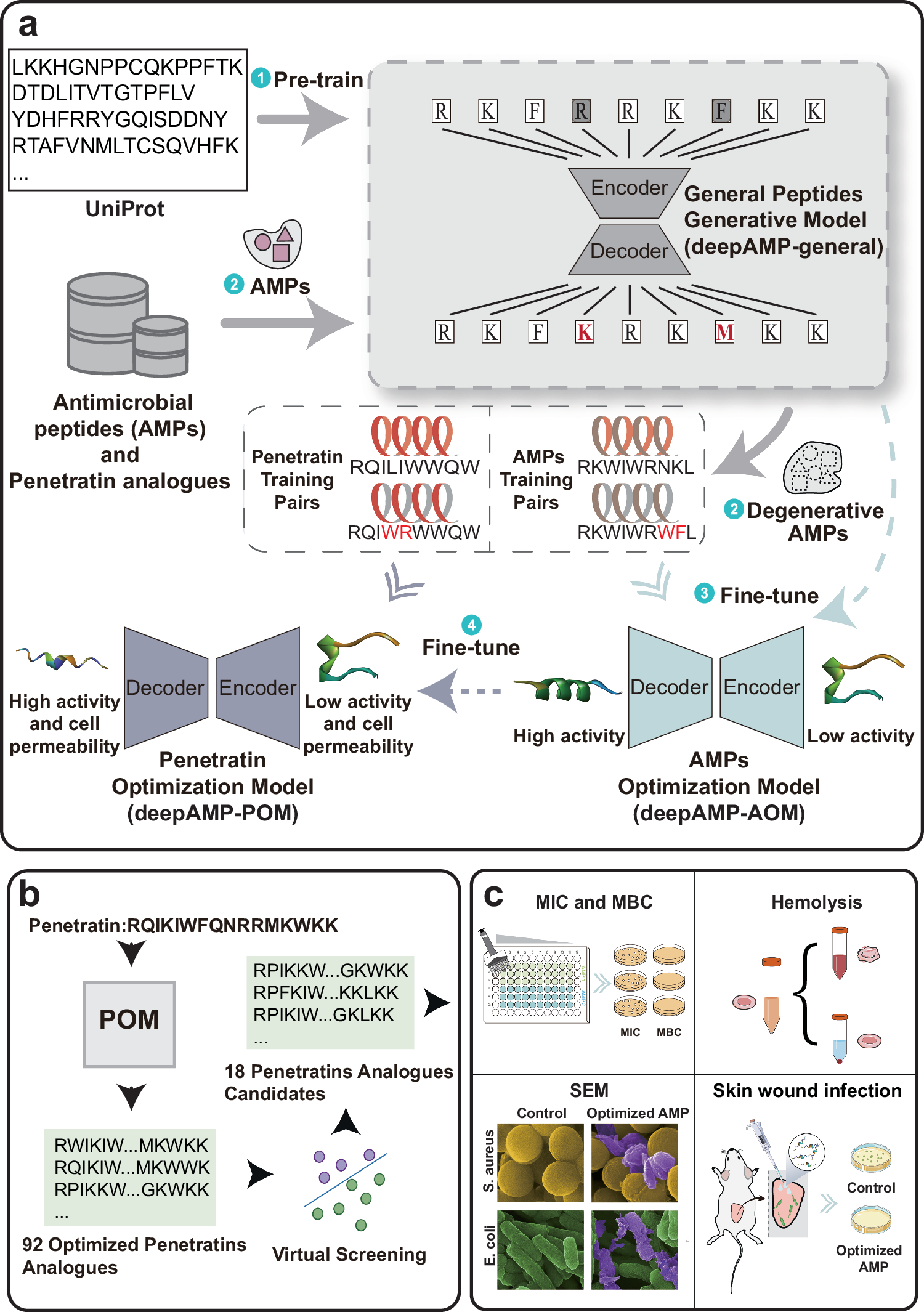Fig. 1: The workflow of penetratin optimization.