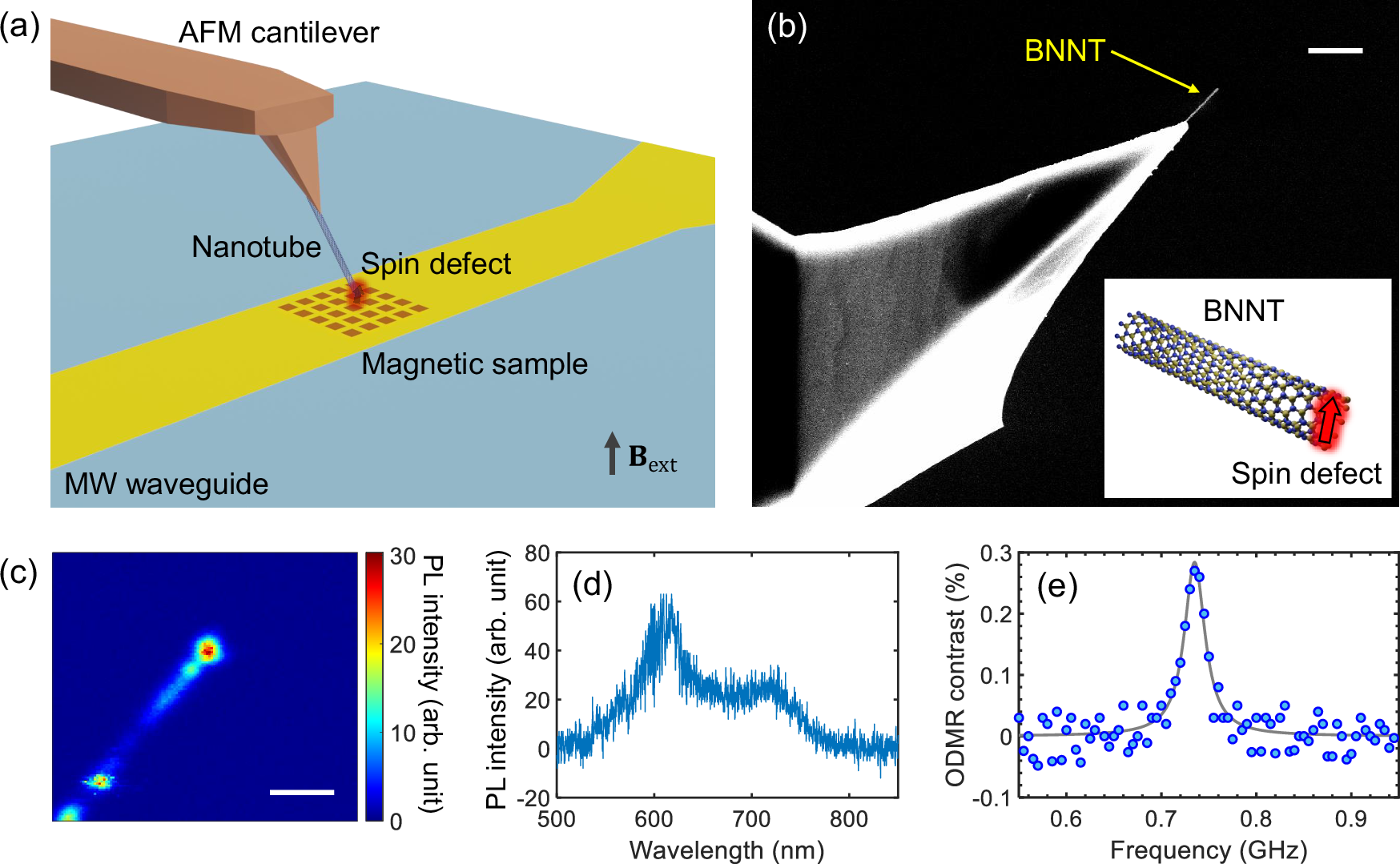 独立配向の磁場検出ナノチューブスピン量子ビットを開発 (Purdue researchers create orientation-independent magnetic field-sensing nanotube spin qubits) 独立配向の磁場検出ナノチューブスピン量子ビットを開発 (Purdue researchers create orientation-independent magnetic field-sensing nanotube spin qubits)