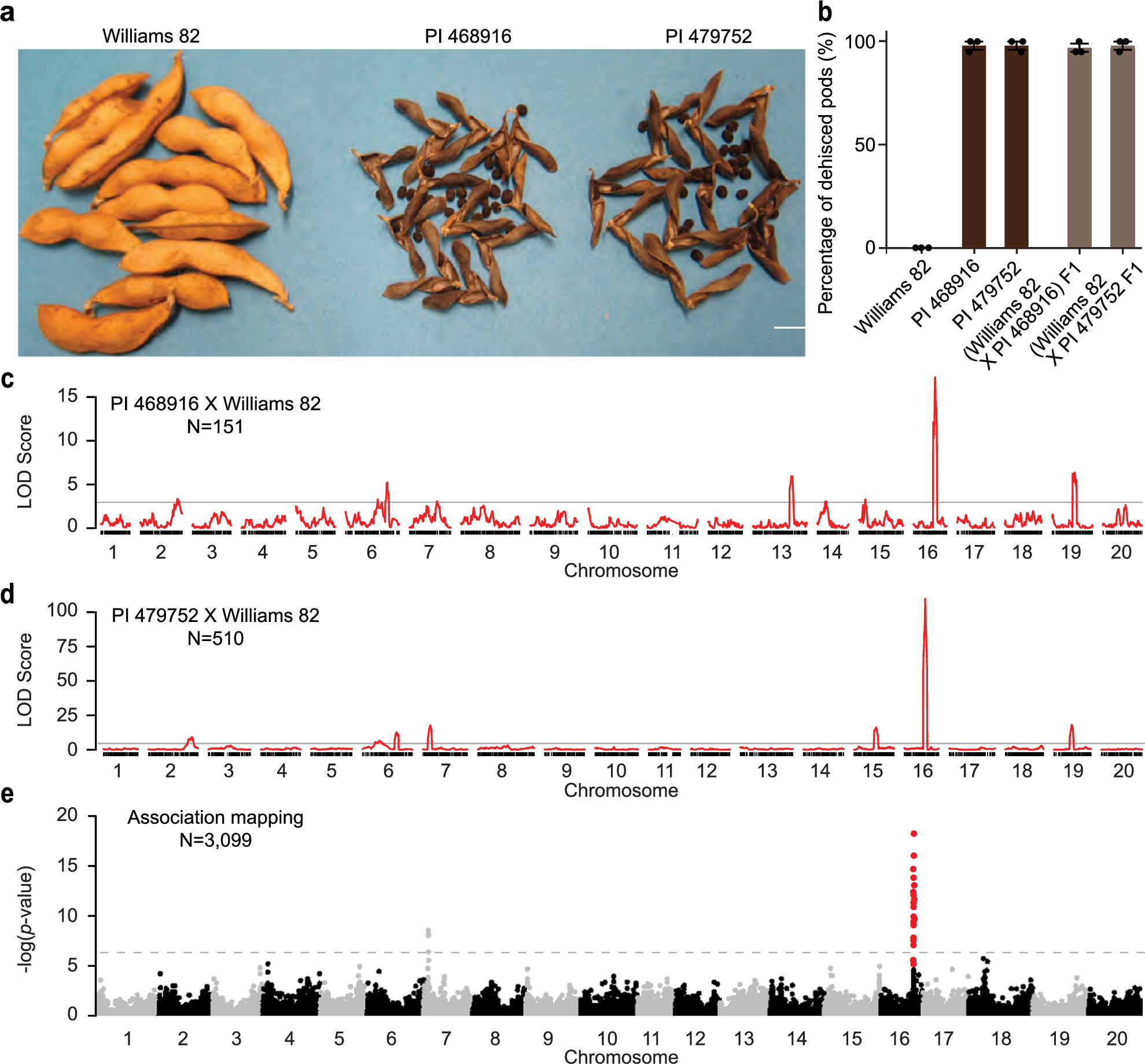 Fig. 1: Genetic architecture of shattering resistance in soybeans.