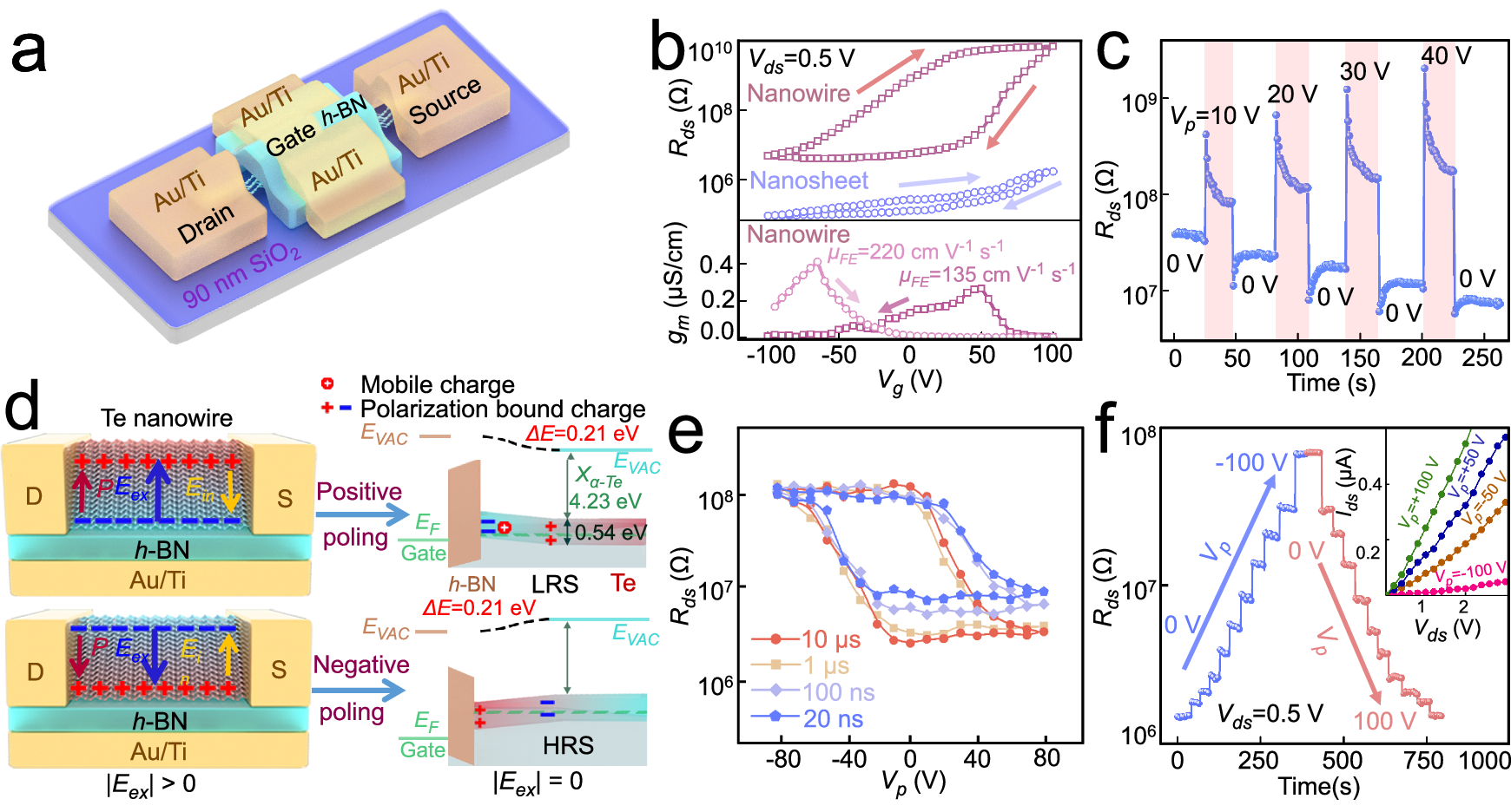 Fig. 4: Switching characteristics exhibiting nonvolatile memory of a Te nanowire self-gated ferroelectric field-effect transistor (SF-FET).
