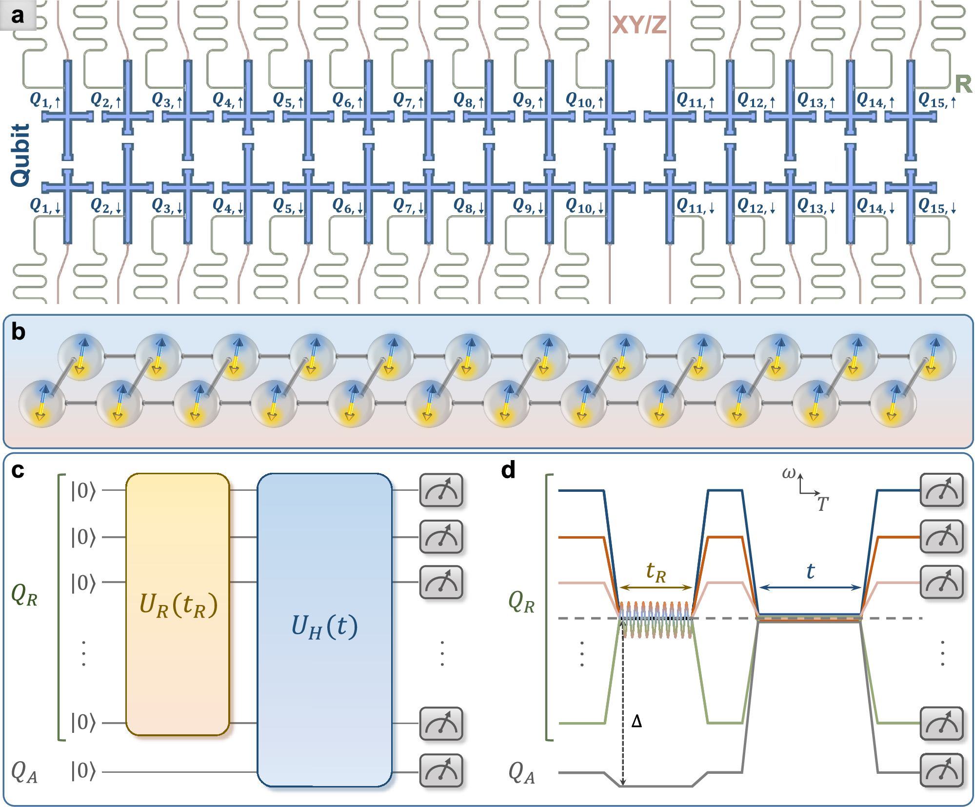 Probing spin hydrodynamics on a superconducting quantum simulator 