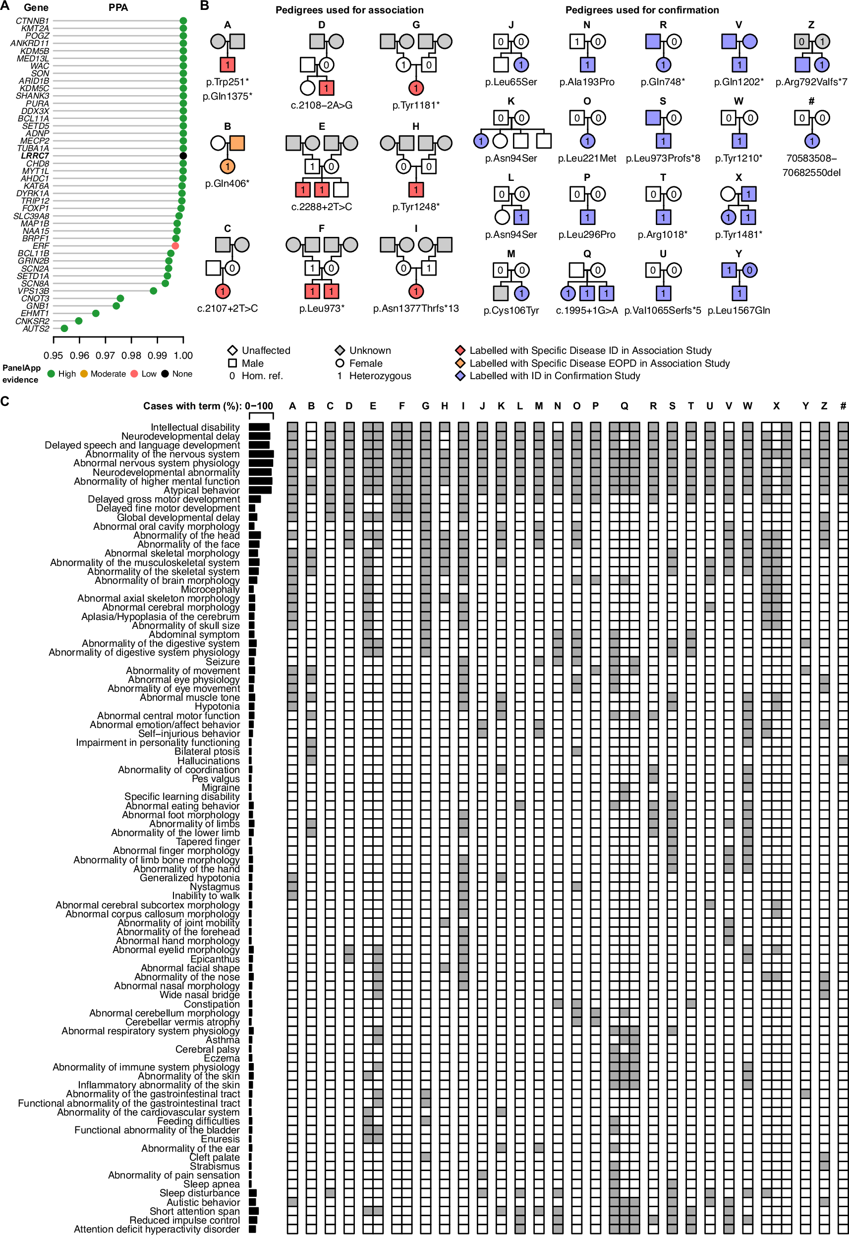 variants-in-lrrc7-lead-to-intellectual-disability-autism-aggression-and-abnormal-eating-behaviors-nature-communications