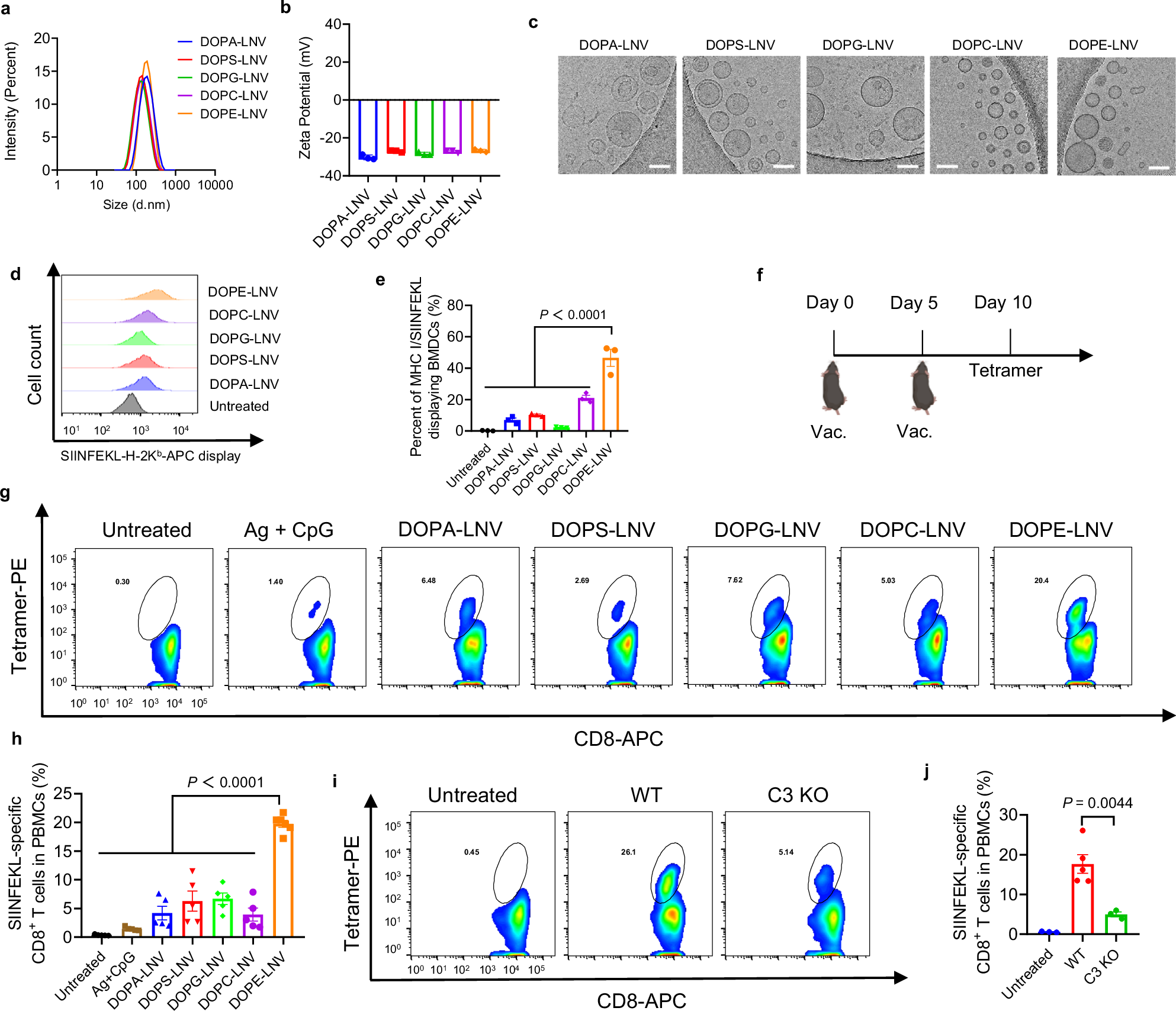 Fig. 2: LNV induces antigen-specific T cell responses in a lipid composition-dependent manner.