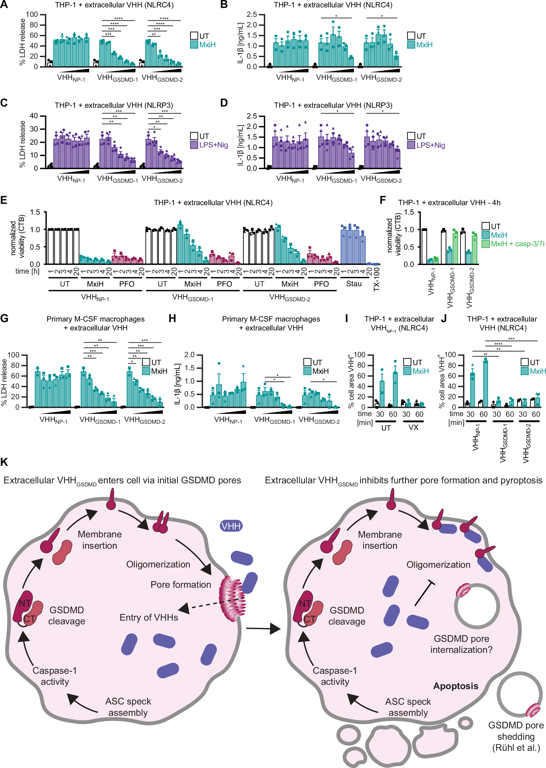 Fig. 7: Recombinant antagonistic GSDMD nanobodies inhibit pyroptosis when administered extracellularly.