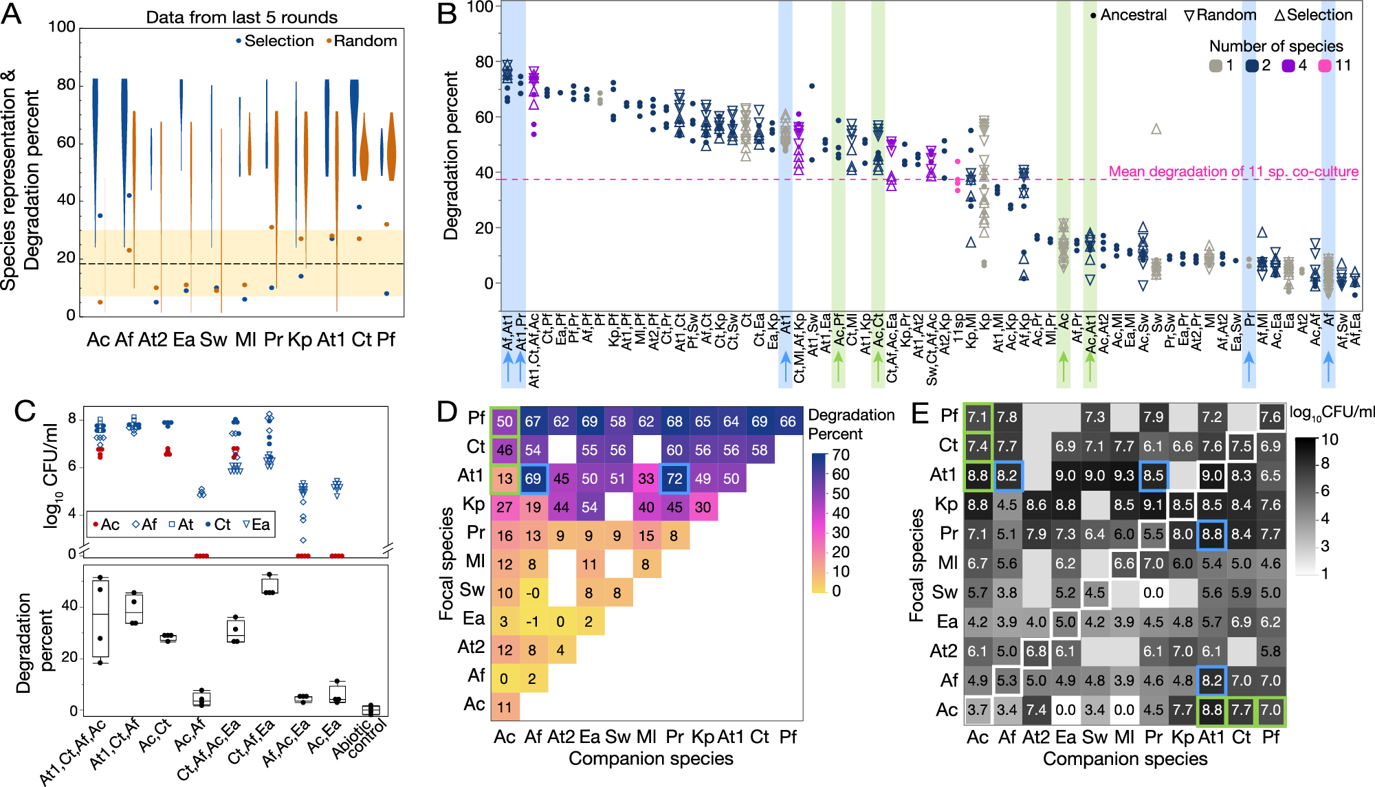 Fig. 3: Representation of species in evolved communities and factors that might explain it.