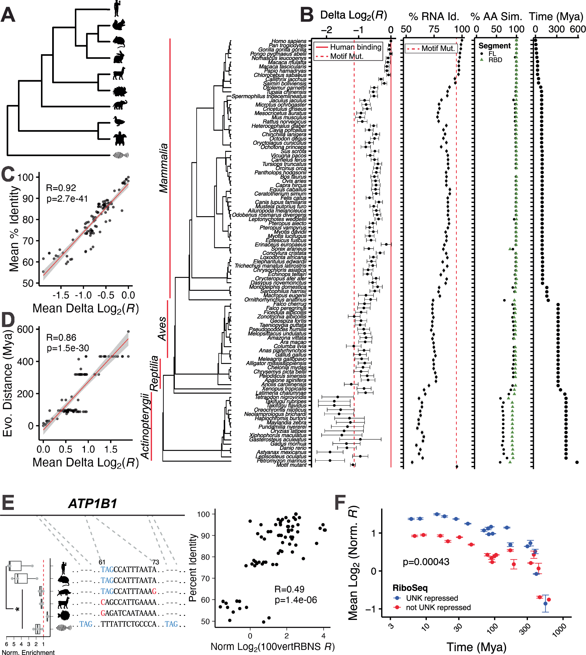Fig. 5: Evolutionary conservation of binding.