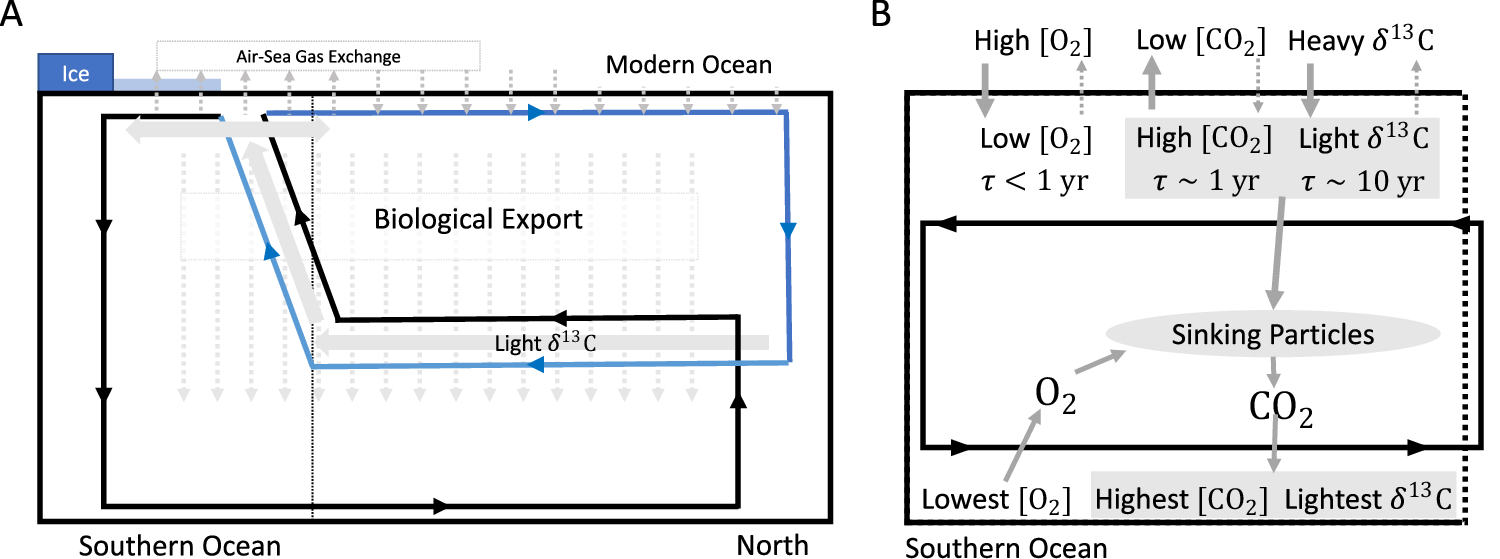 Fig. 2: A schematic depiction of the role of the oceanic overturning circulation in the fluxes of carbon and oxygen between the atmosphere and ocean.