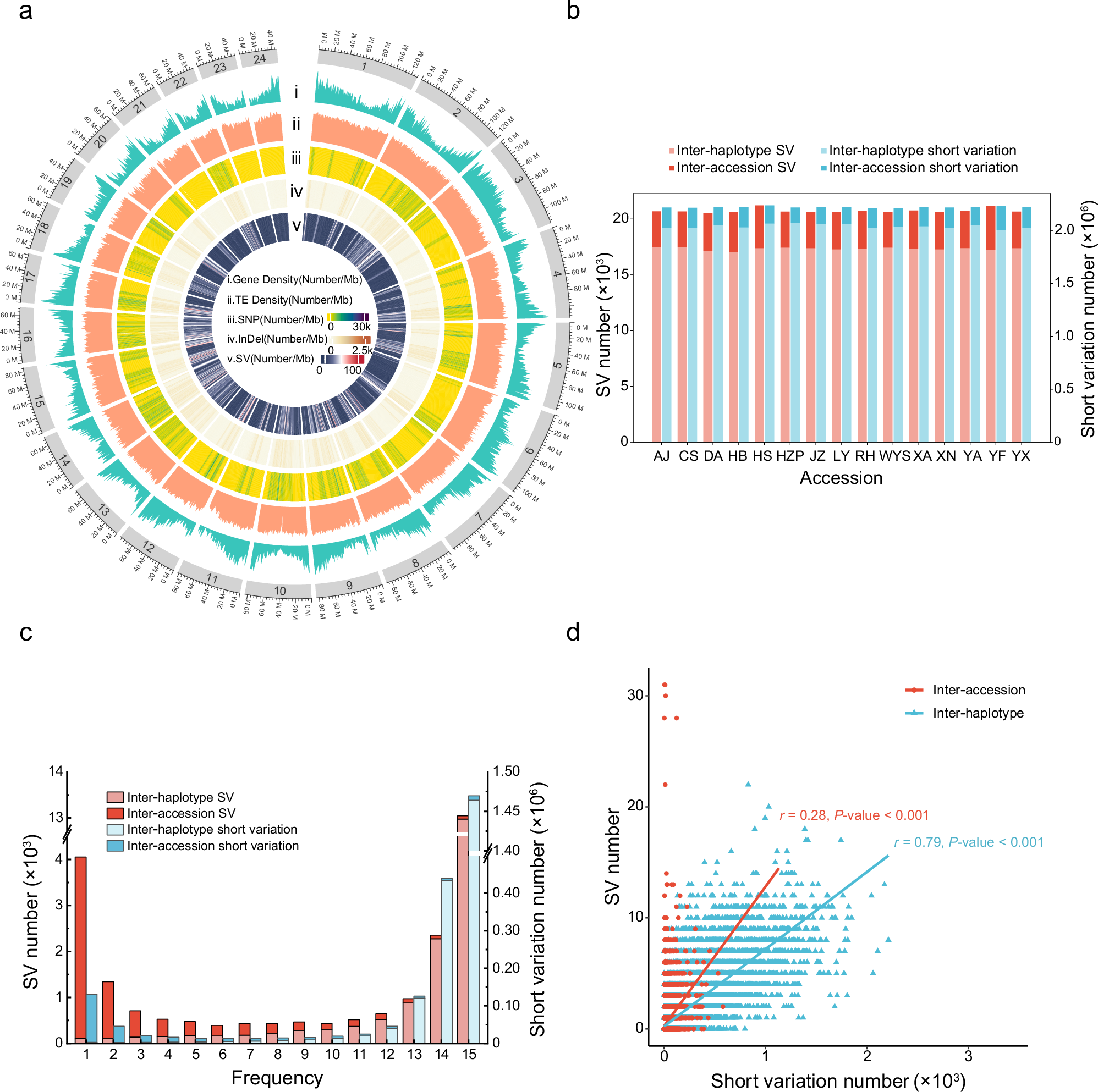 Fig. 1: Characteristics of genetic variations in the moso bamboo pangenome.