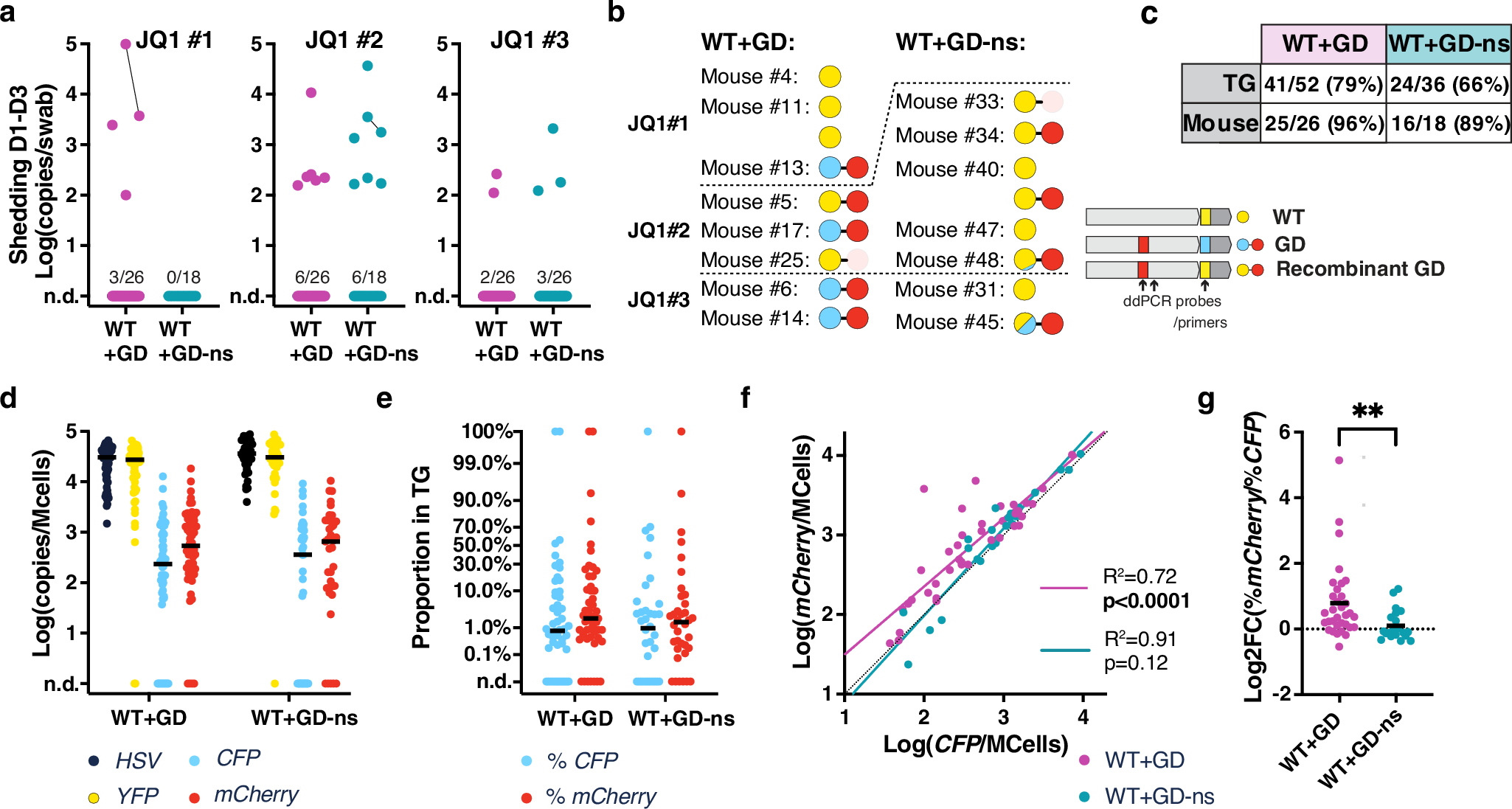 Fig. 9: Gene drive spread during latent infection in C57Bl/6 mice.