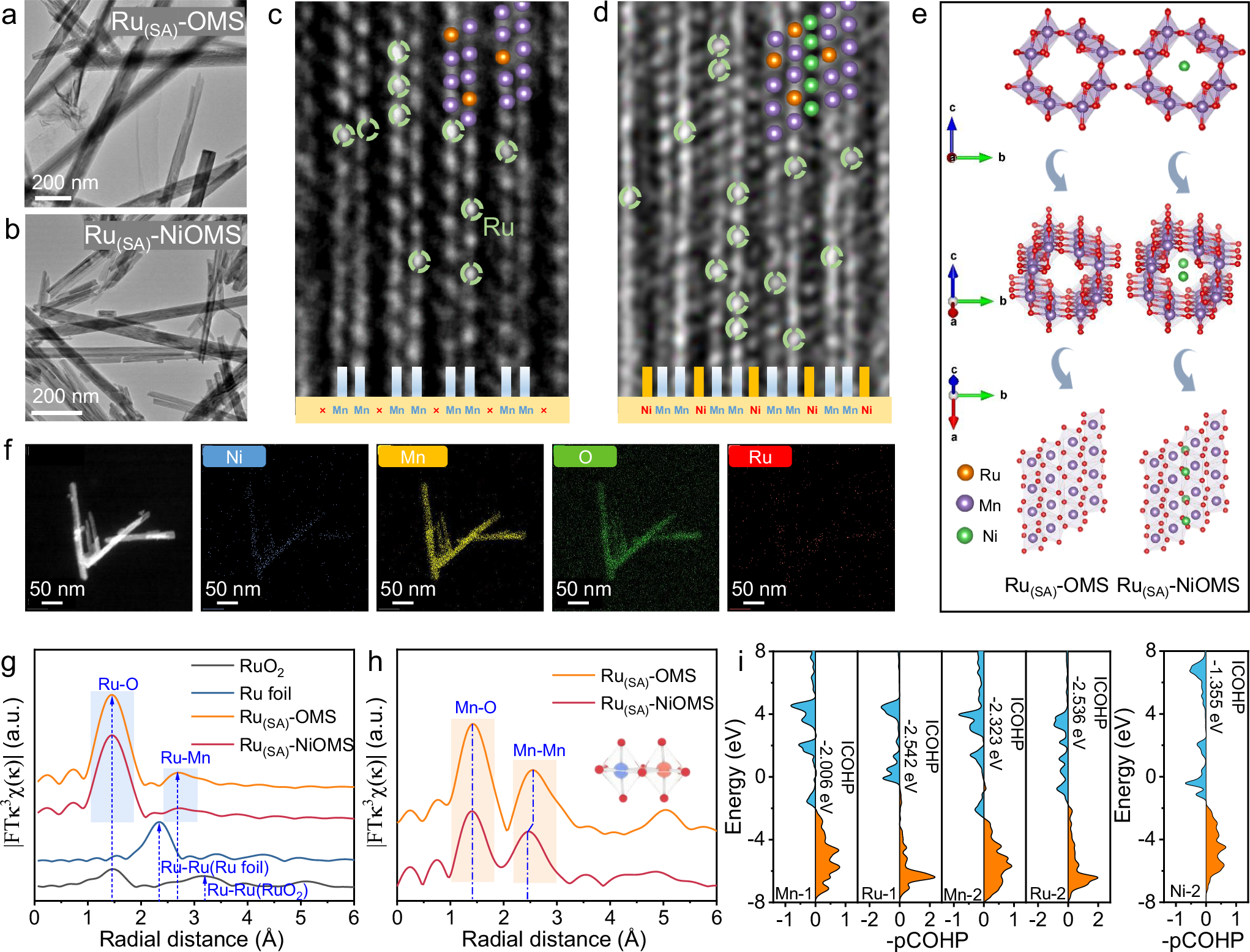 Fig. 2: Atomic structure and elemental distribution of Ru(SA)-OMS and Ru(SA)-NiOMS.
