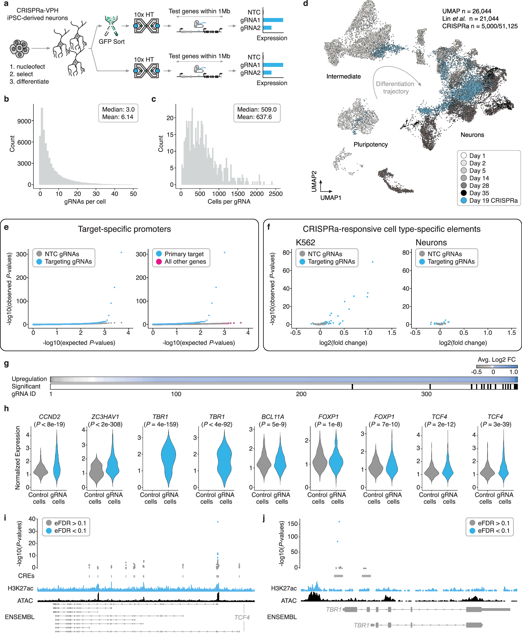 Fig. 3: Multiplex single cell CRISPRa screening of regulatory elements in post-mitotic iPSC-derived neurons.