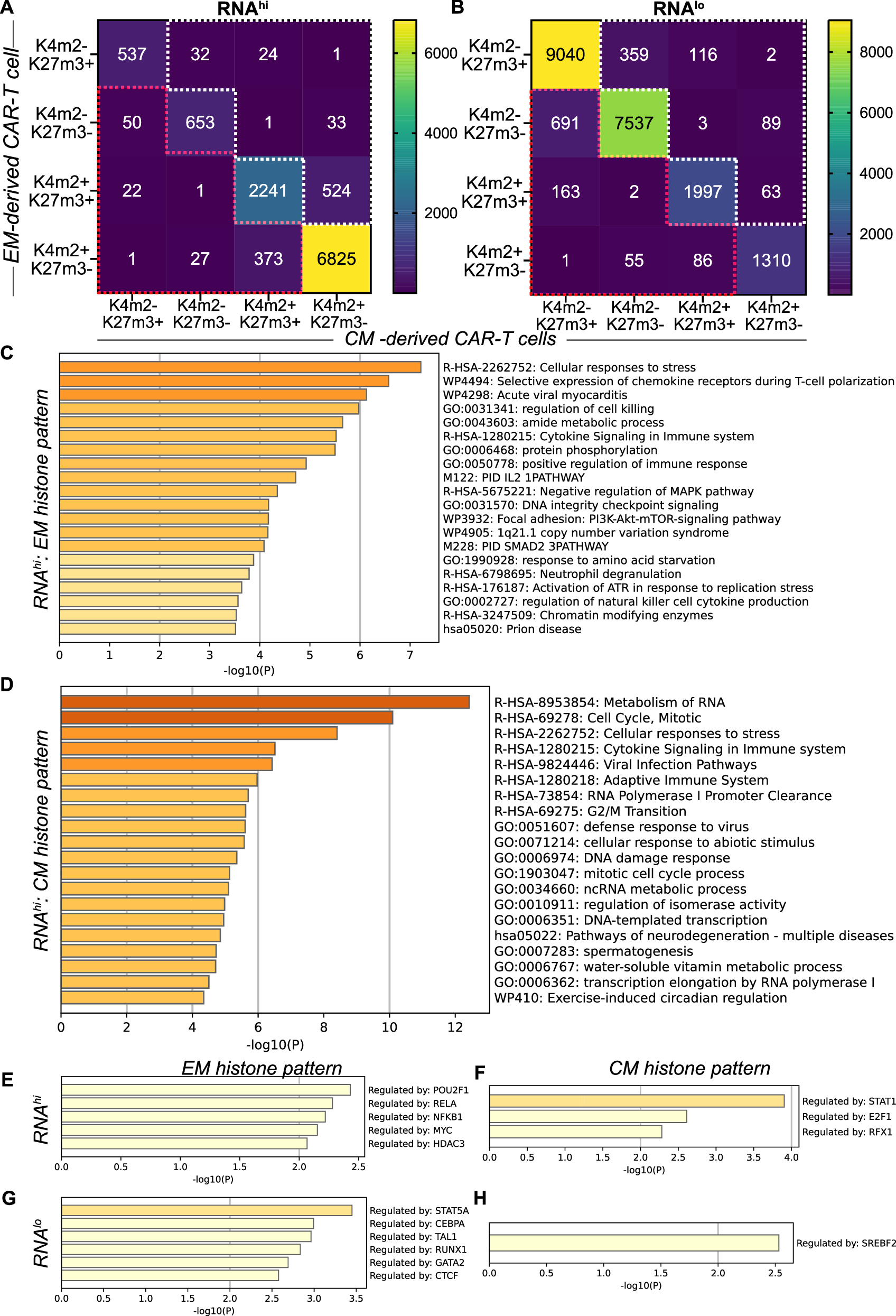 Fig. 6: Analyses of changes in histone mark patterns between CM- and EM-derived CAR-T reveal potential regulators of differences between CAR-T types that are not apparent from the transcriptome.