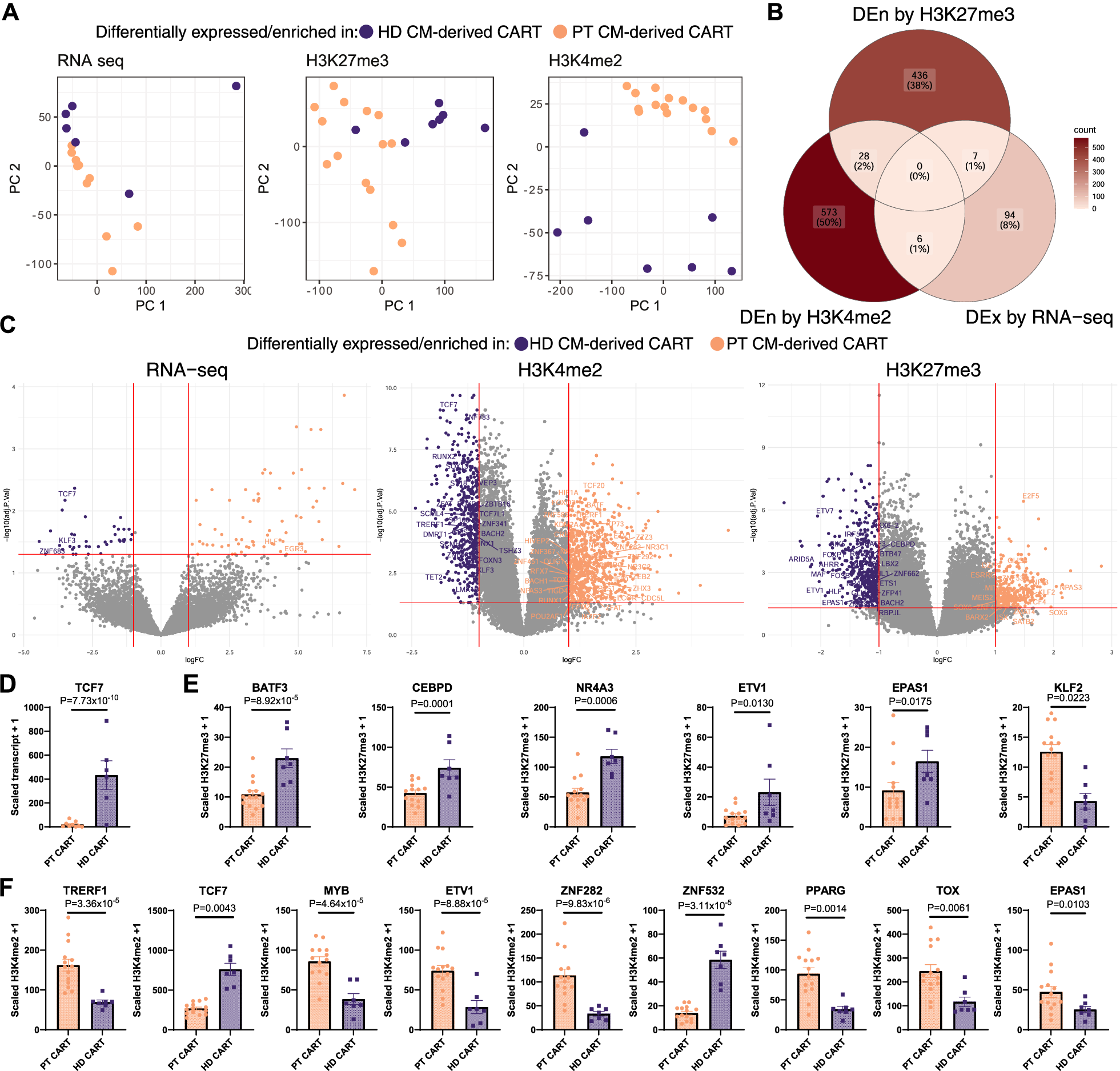 Fig. 7: Comparison of histone marks from CM-derived CAR-T from healthy donors and CM-enriched CAR-T from patients reveals exhaustion-associated transcription factors not seen by transcriptomic approaches.