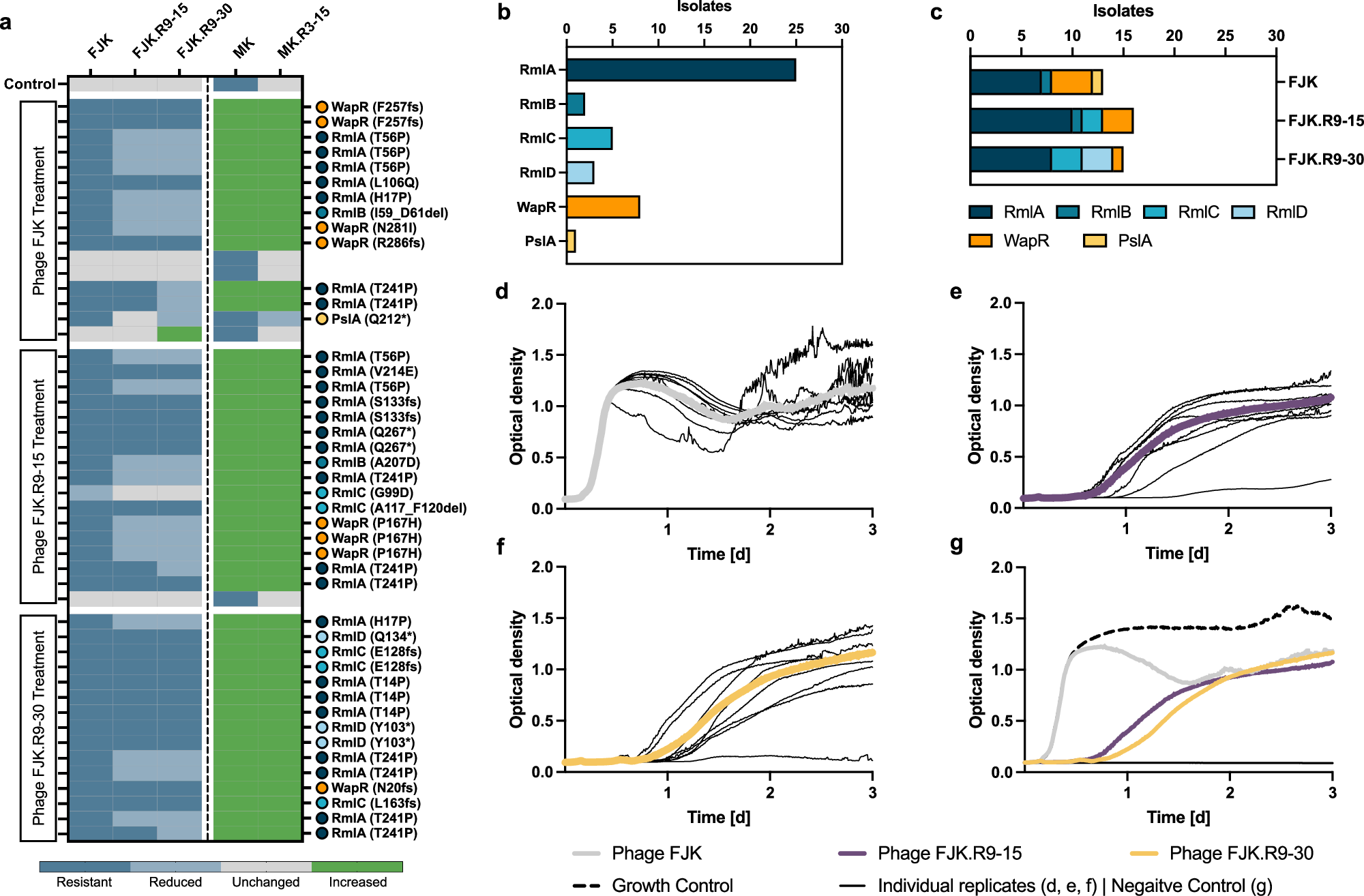 Fig. 5: Phenotypic and genomic characterisation of phage-treated Paer09 isolates.