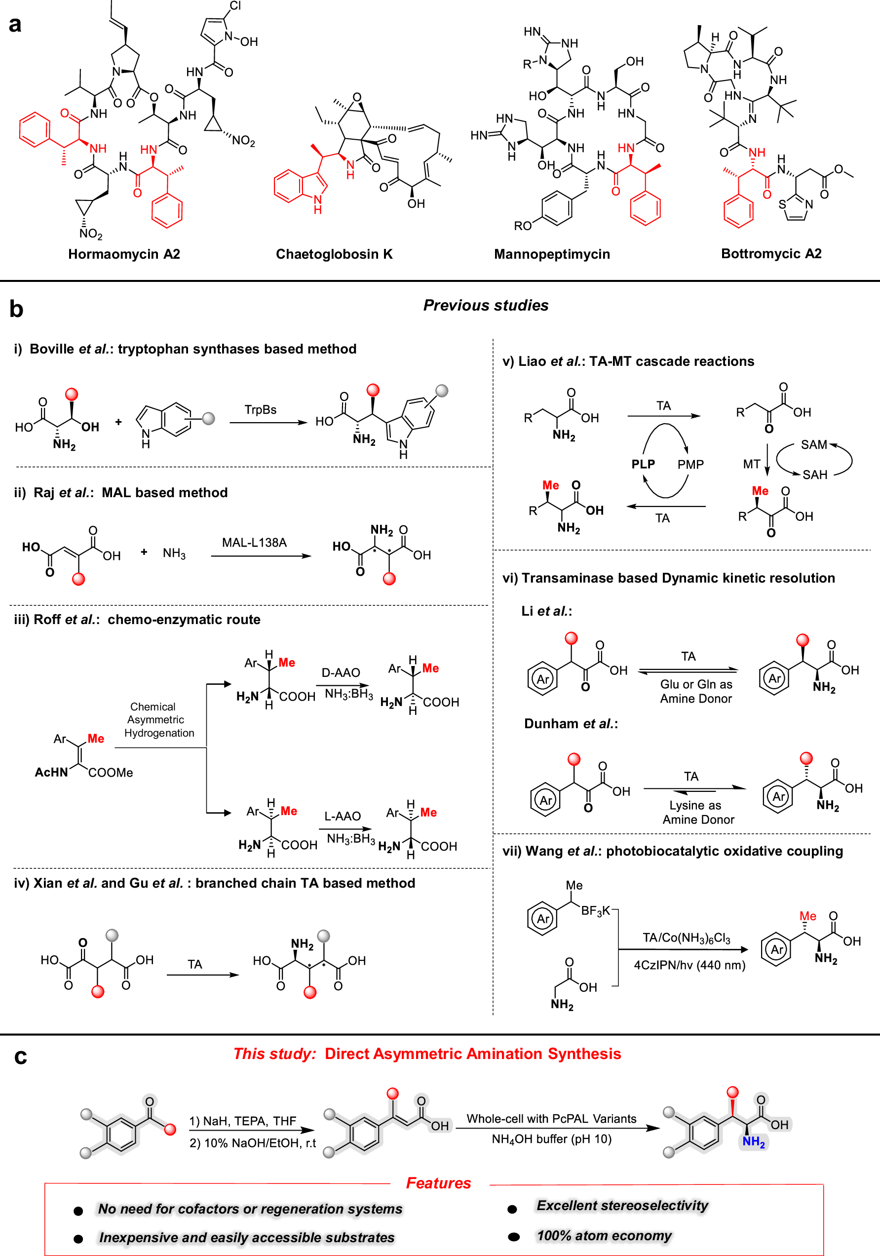 Direct asymmetric synthesis of β-branched aromatic α-amino acids using engineered phenylalanine ammonia lyases | Nature Communications direct-asymmetric-synthesis-of-branched-aromatic-amino-acids-using-engineered-phenylalanine-ammonia-lyases-nature-communications
