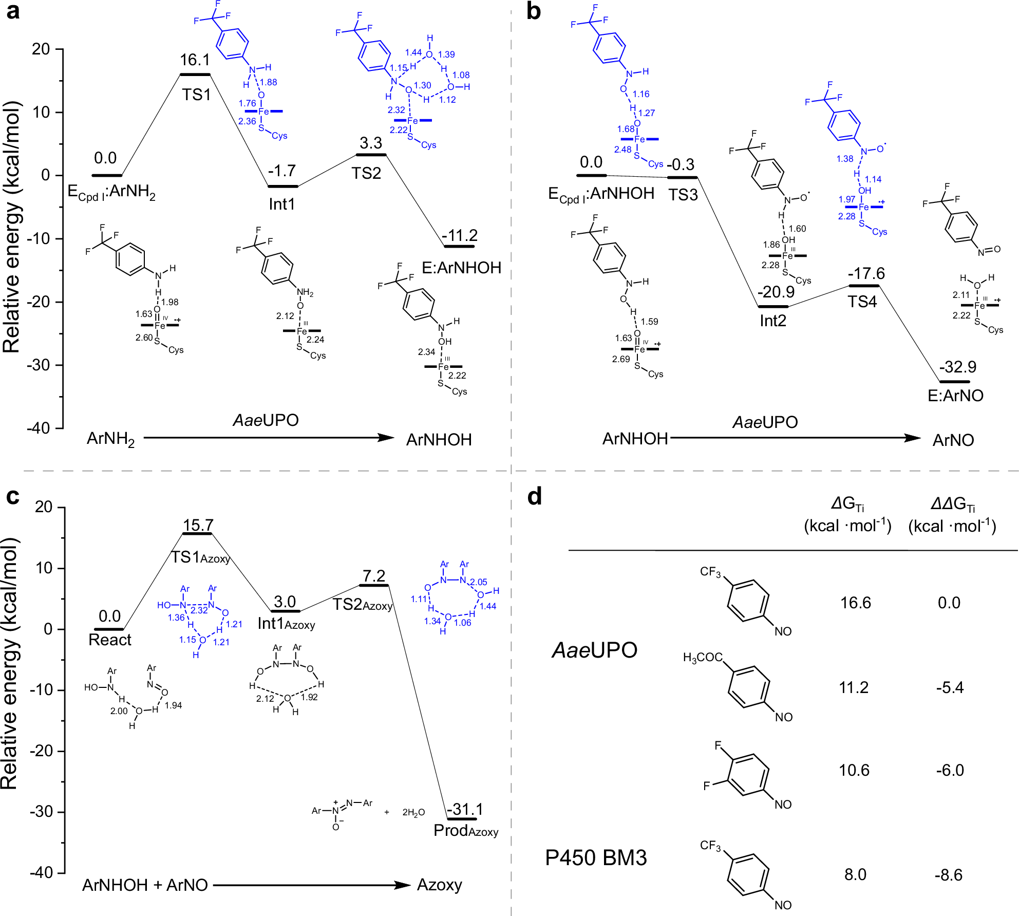 Fig. 5: Mechanistic study of the AaeUPO-catalyzed azoxy compound synthesis from aniline.