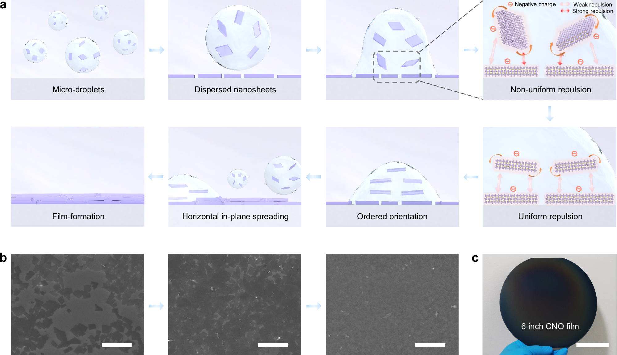 Wafer-scale integration of two-dimensional perovskite oxides towards motion  recognition | Nature Communications