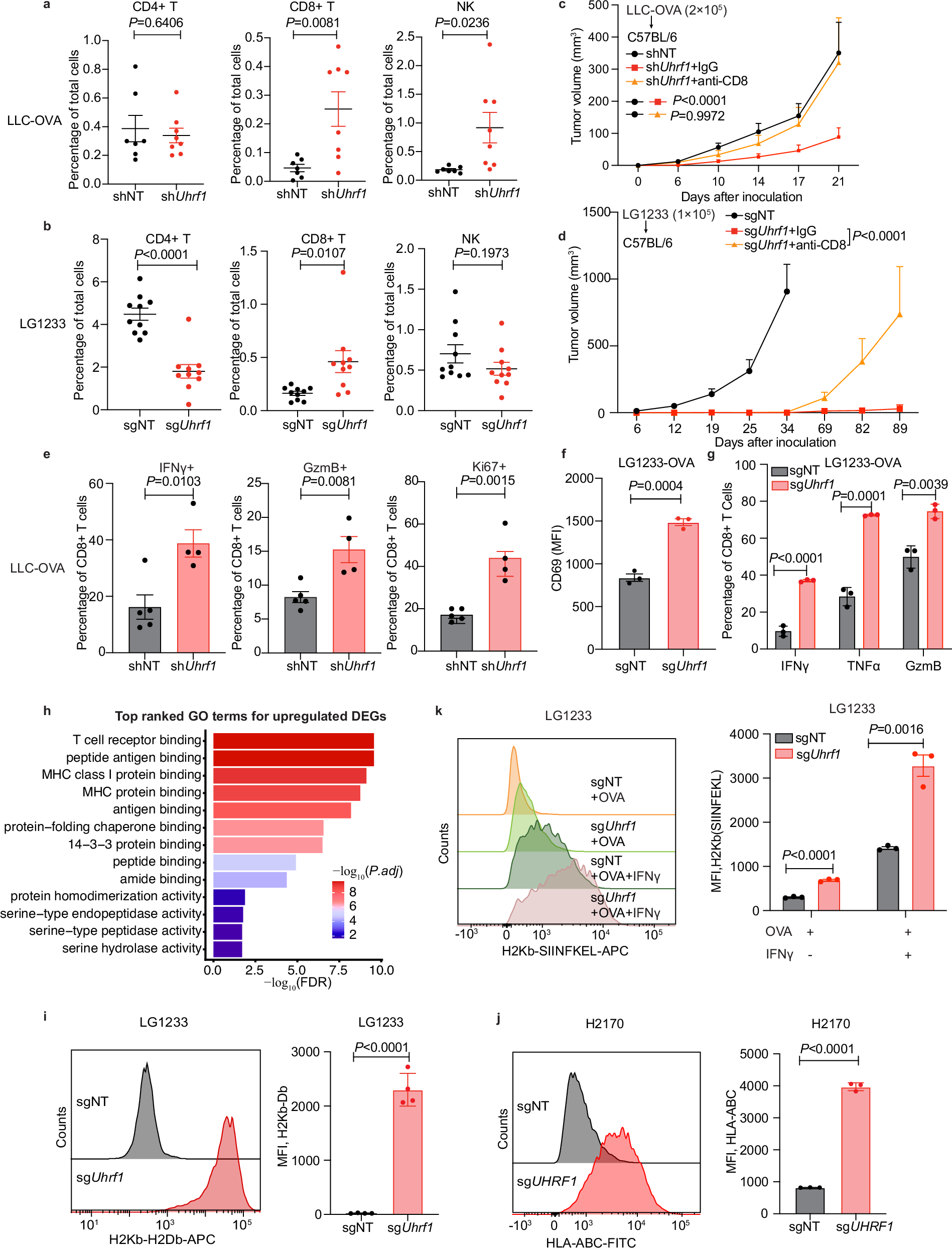Fig. 2: UHRF1 restrains CD8+ T cell response through downregulate MHC-I expression.