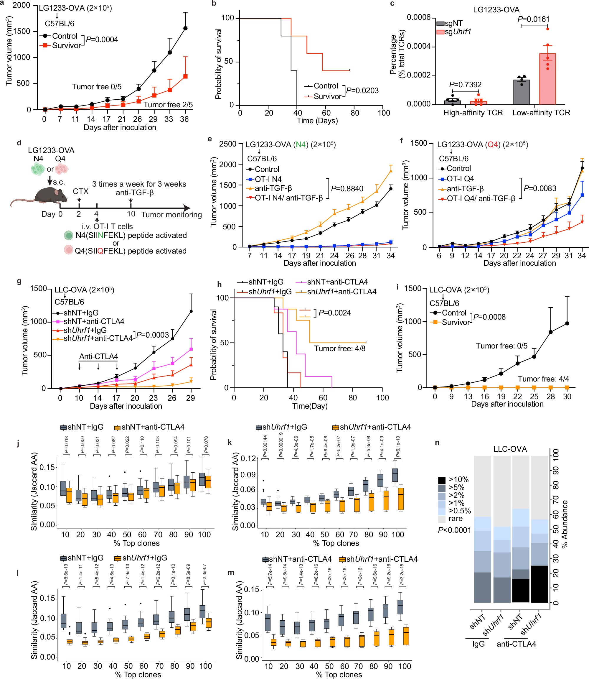 Fig. 5: Inactivating UHRF1 induces memory formation via expansion of T cell clones with low-affinity TCRs and synergizes with anti-CTLA4-based ICB therapy.