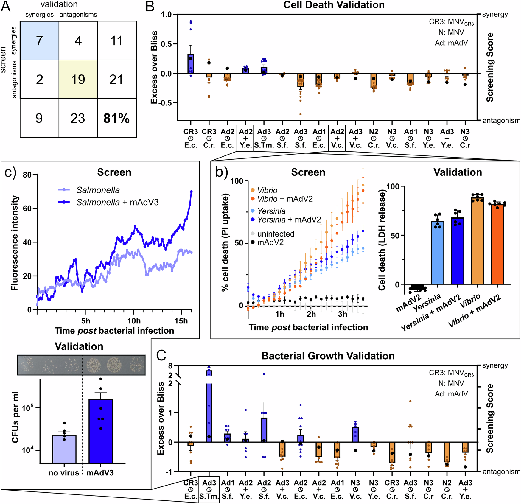 Fig. 3: Validation of a subset of interactions by orthogonal biochemical assays.