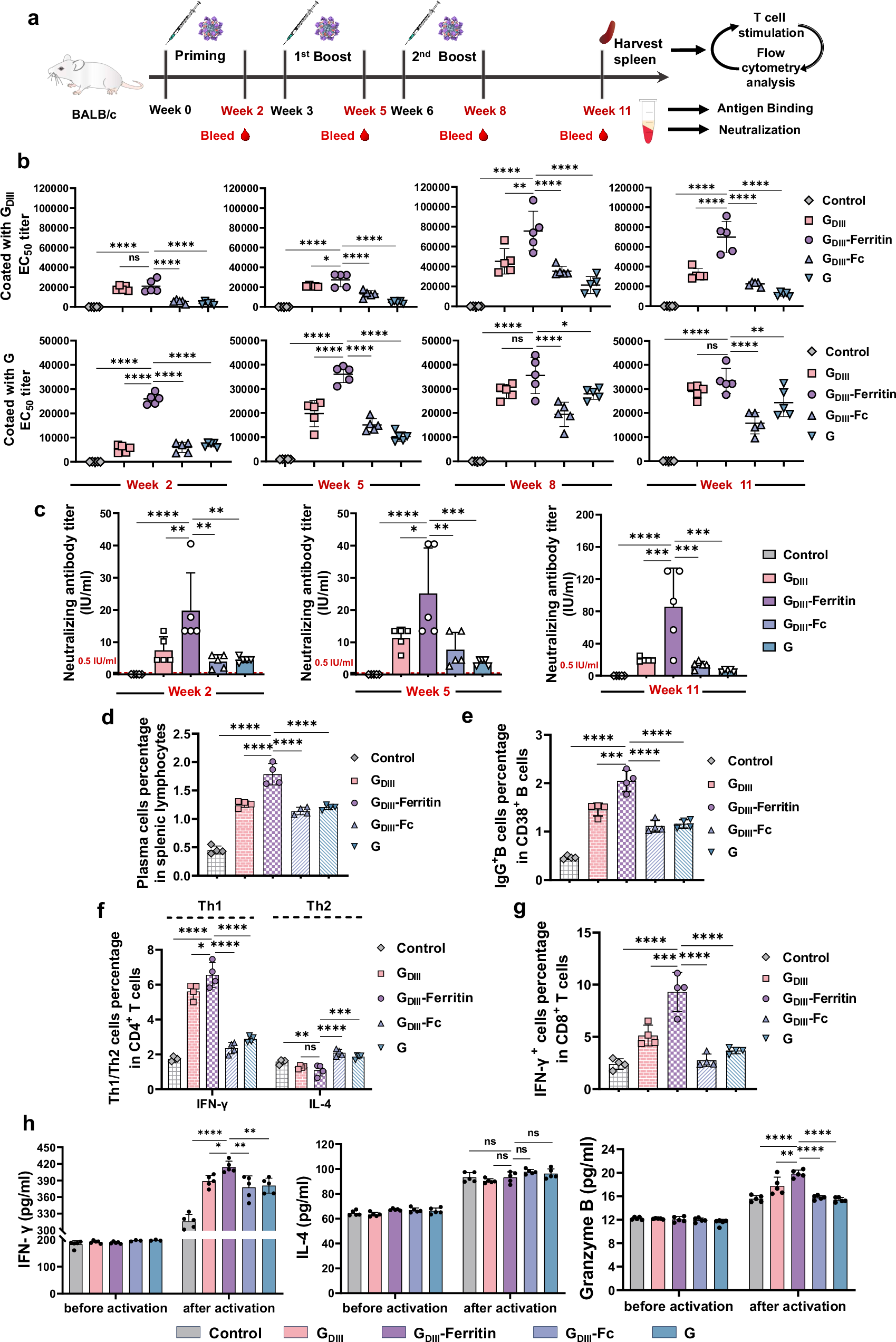 Fig. 5: Immunogenicity assessment of the rabies subunit vaccines.