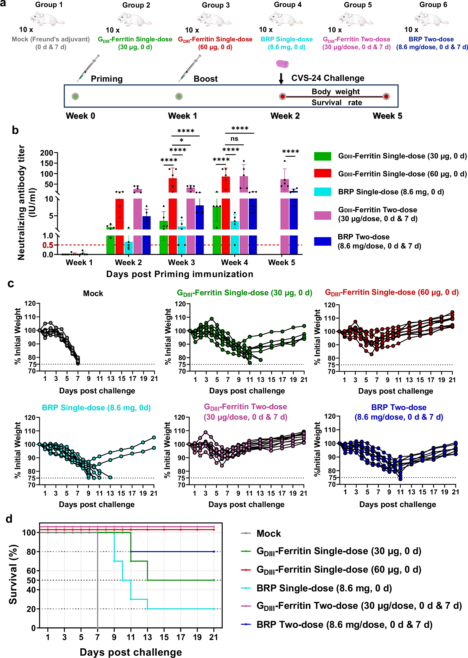 Fig. 6: Evaluation of the protective efficacy of the GDIII-Ferritin nanoparticle vaccine.