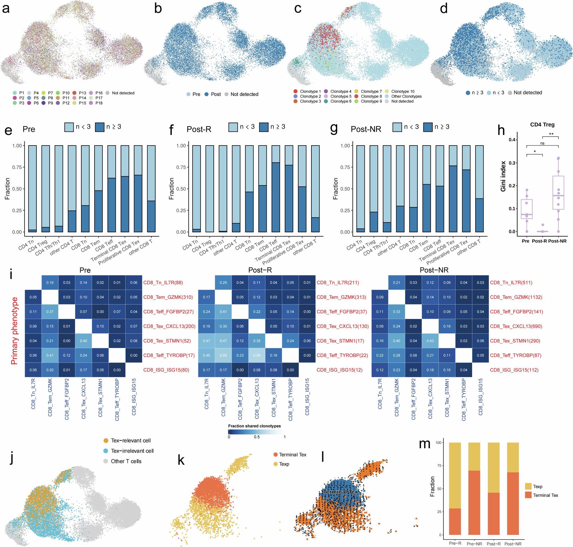 Fig. 4: Clonality features and dynamics of T cell receptors during immunochemotherapy.