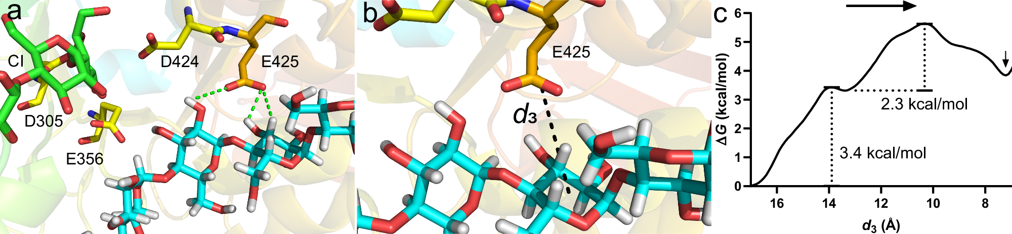 Fig. 7: Free-energy calculation of residue E425 attracting acceptor polysaccharide for transglycosylation.