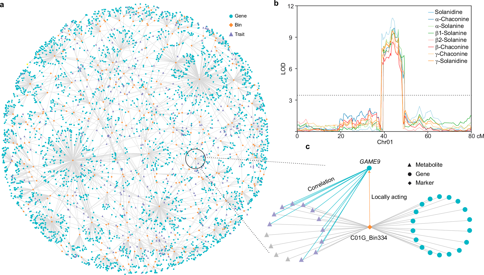 Fig. 3: The systems-genetics network.