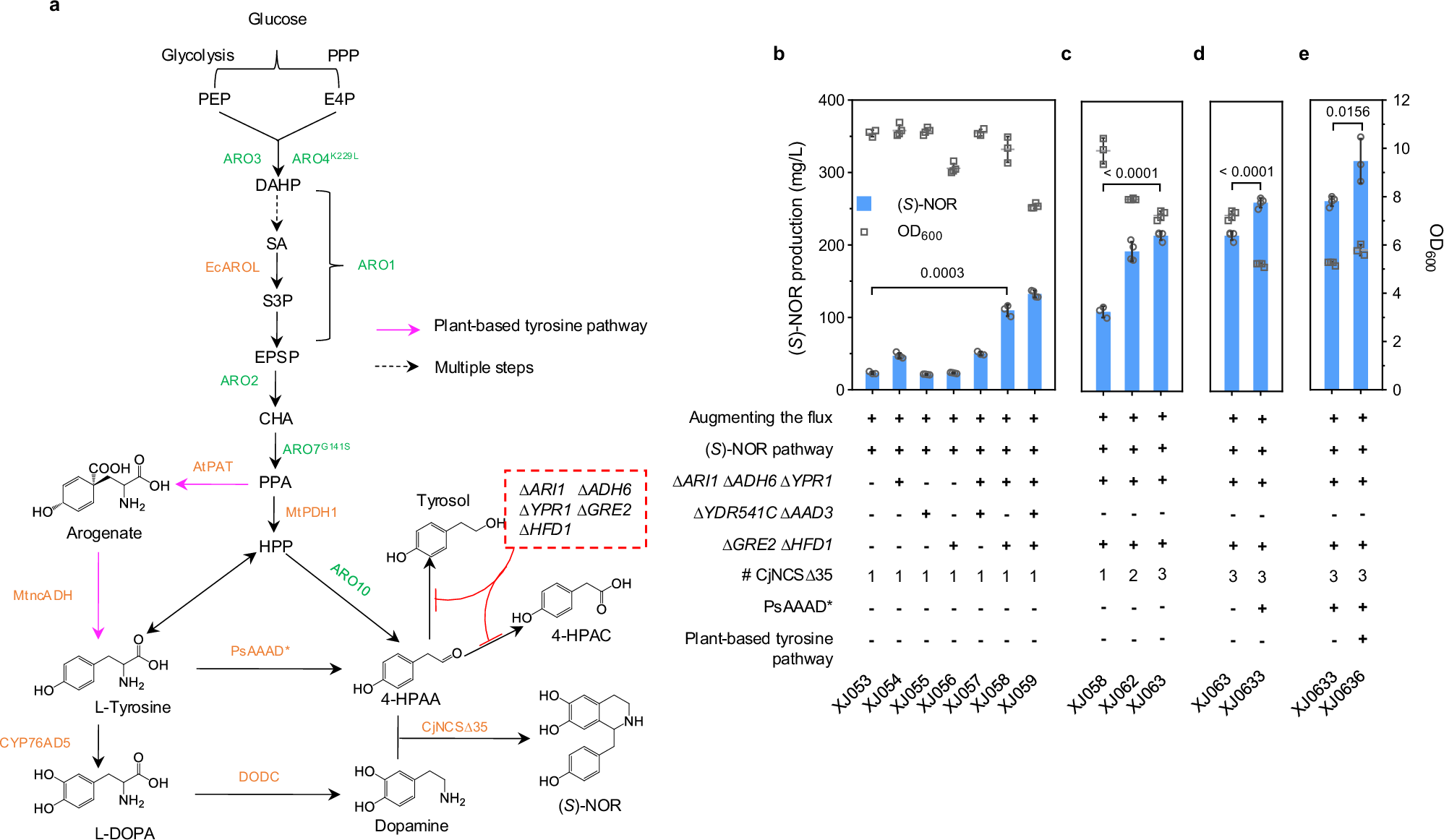 Fig. 2: Optimizing (S)-NOR production in yeast.
