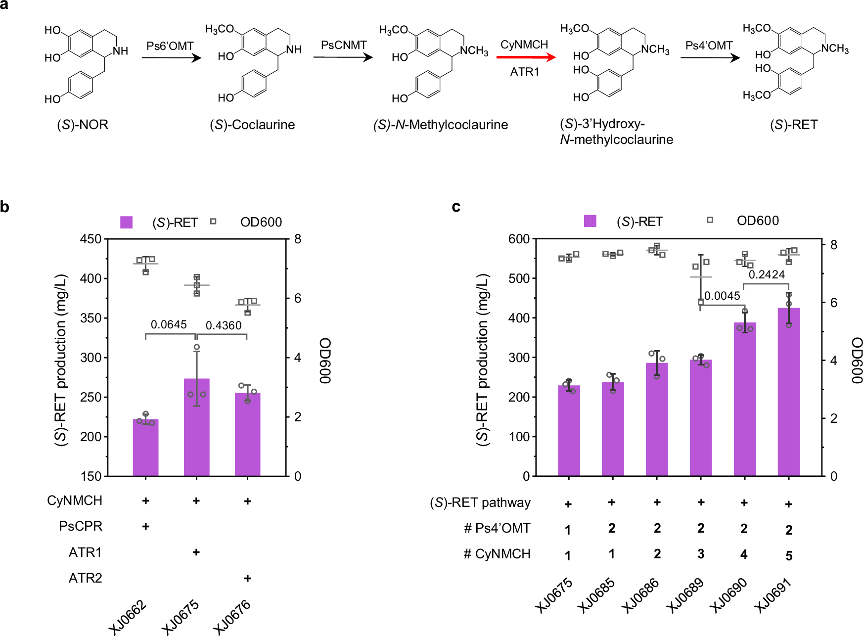 Fig. 3: Extending the biosynthetic pathway from (S)-NOR to produce (S)-RET.