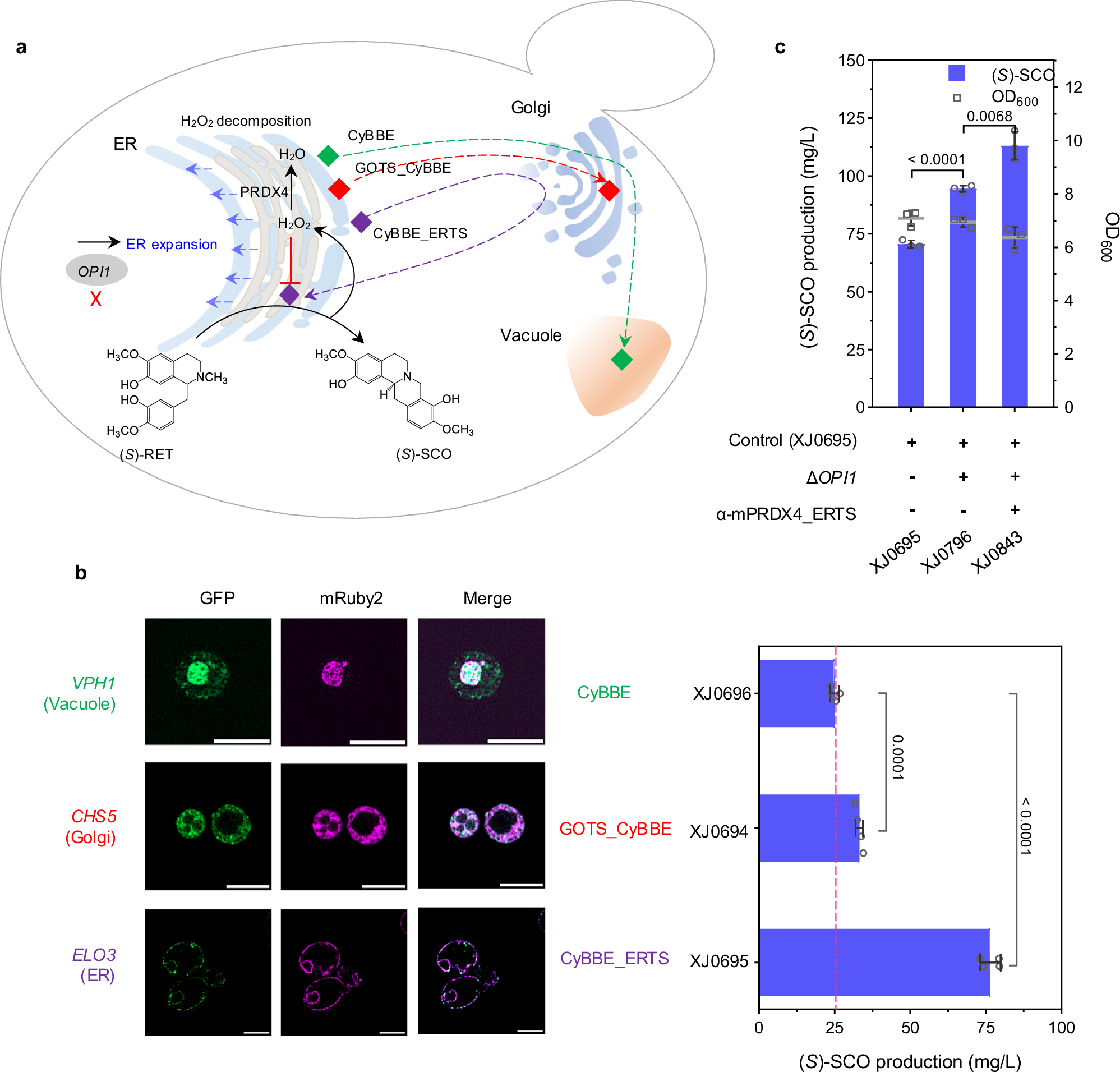 Fig. 4: Fine-tuning BBE to improve (S)-SCO production.
