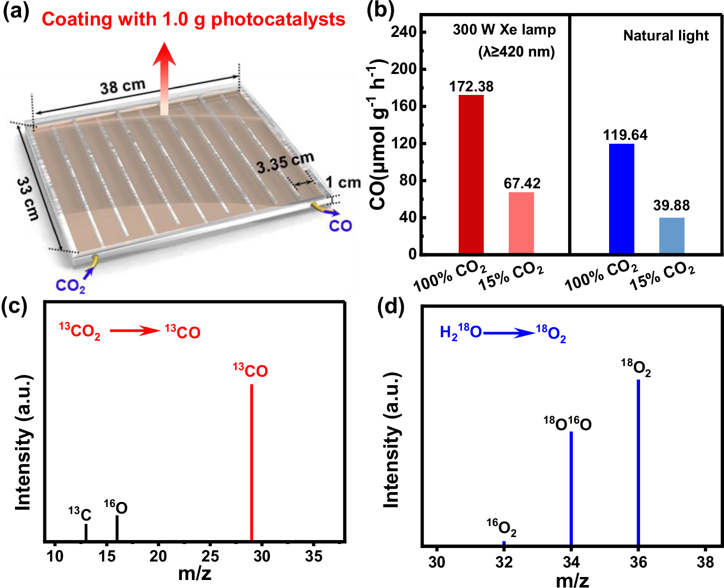 Fig. 4: Scaled-up experiments and carbon/oxygen source origin determination.