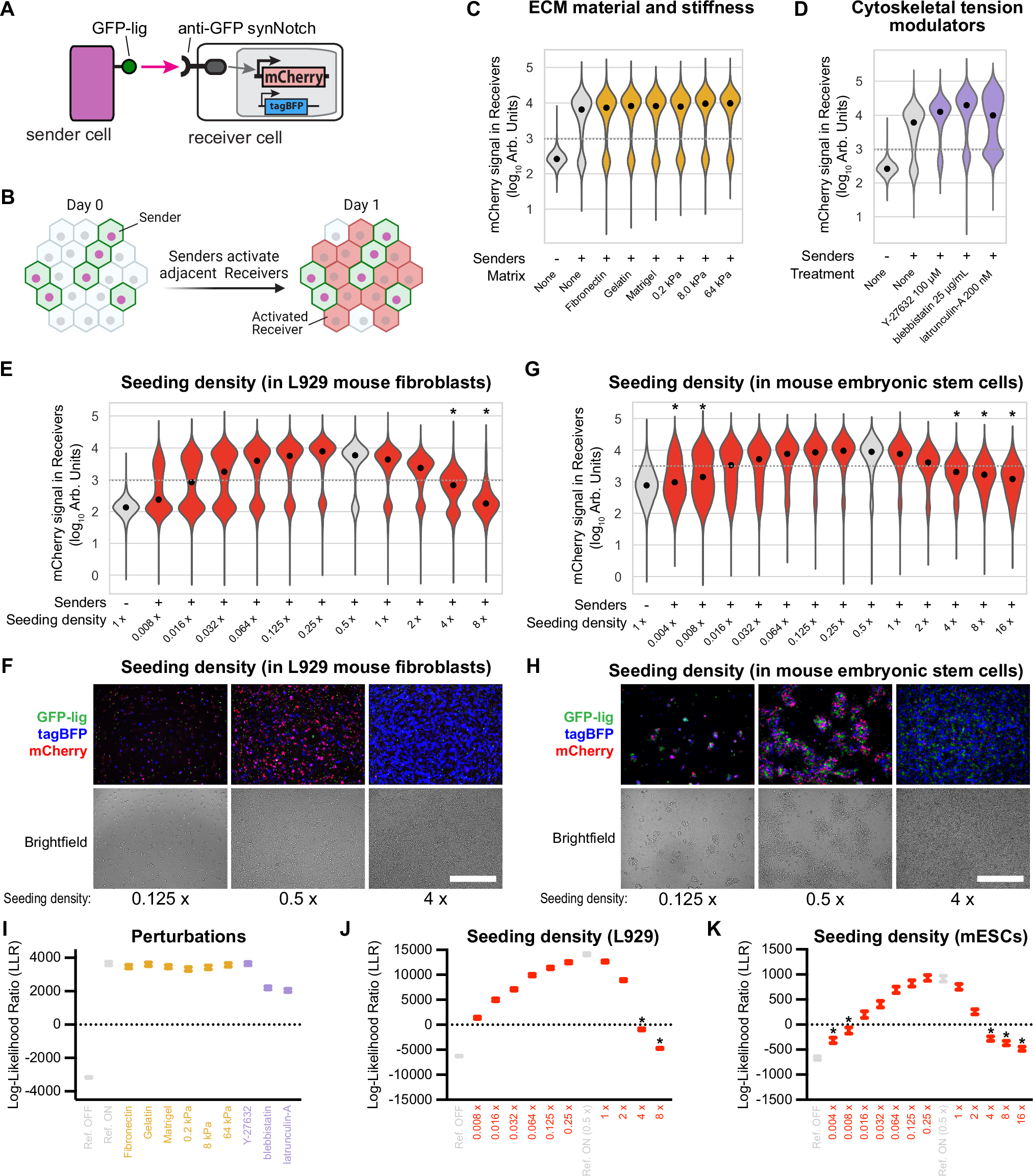 Control of spatio-temporal patterning via cell growth in a 